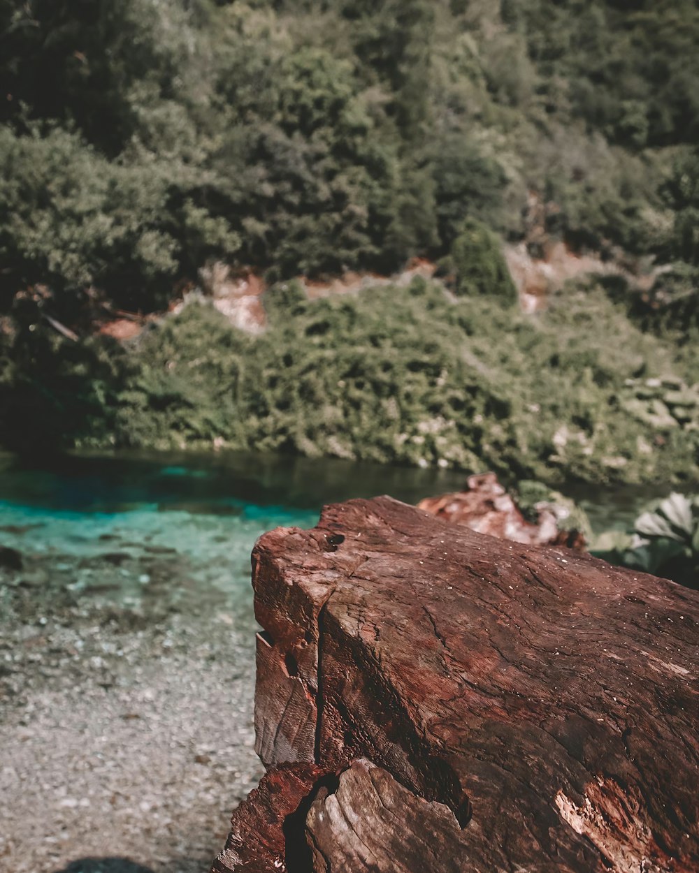 a red rock sitting on top of a river next to a forest