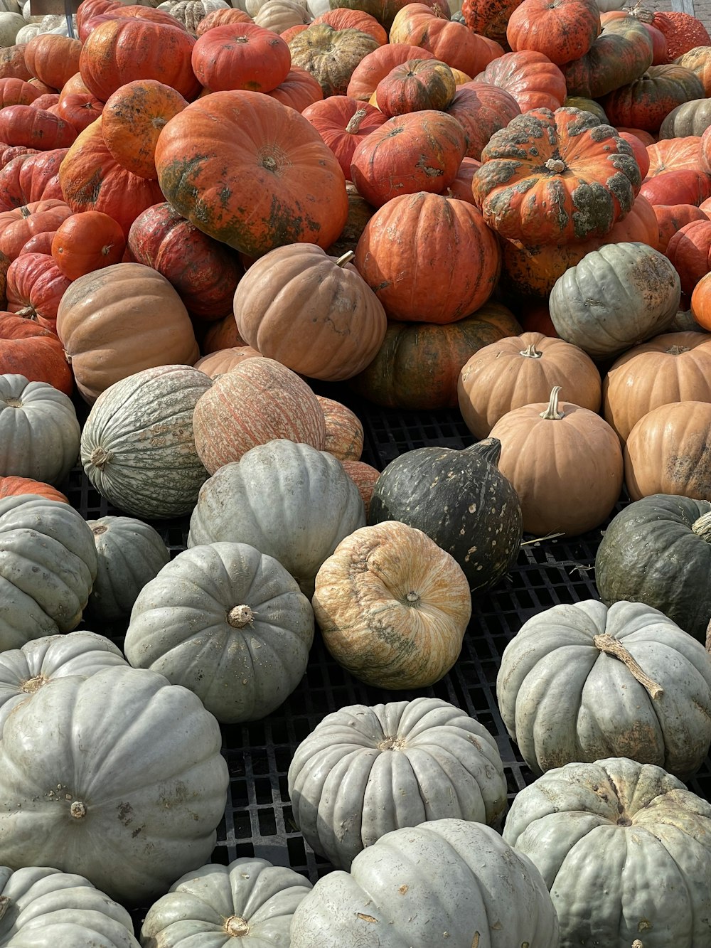 a pile of pumpkins sitting on top of a metal grate