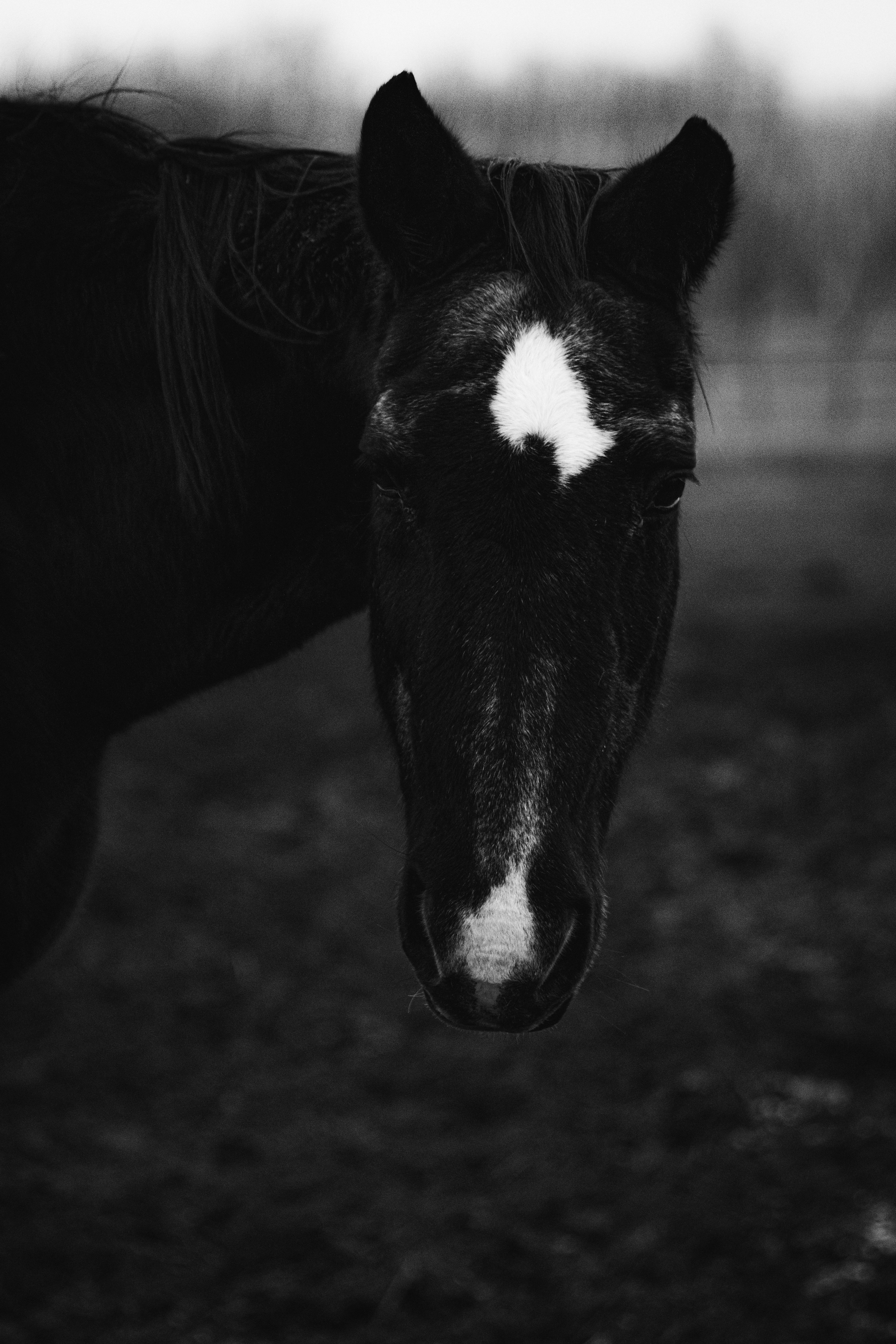 Photo by vanyekmate04