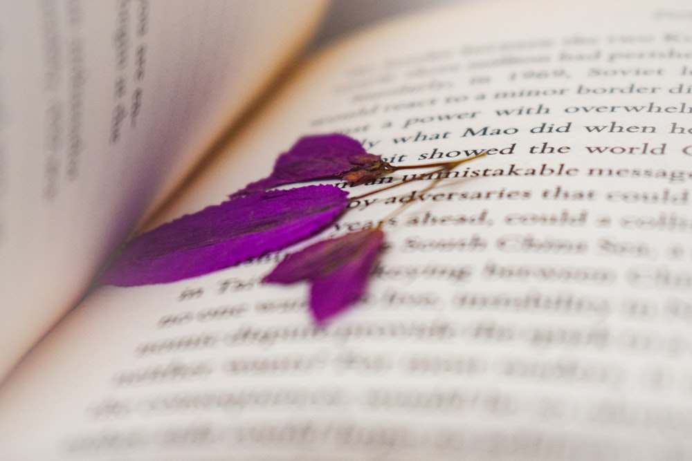 a purple flower sitting on top of an open book