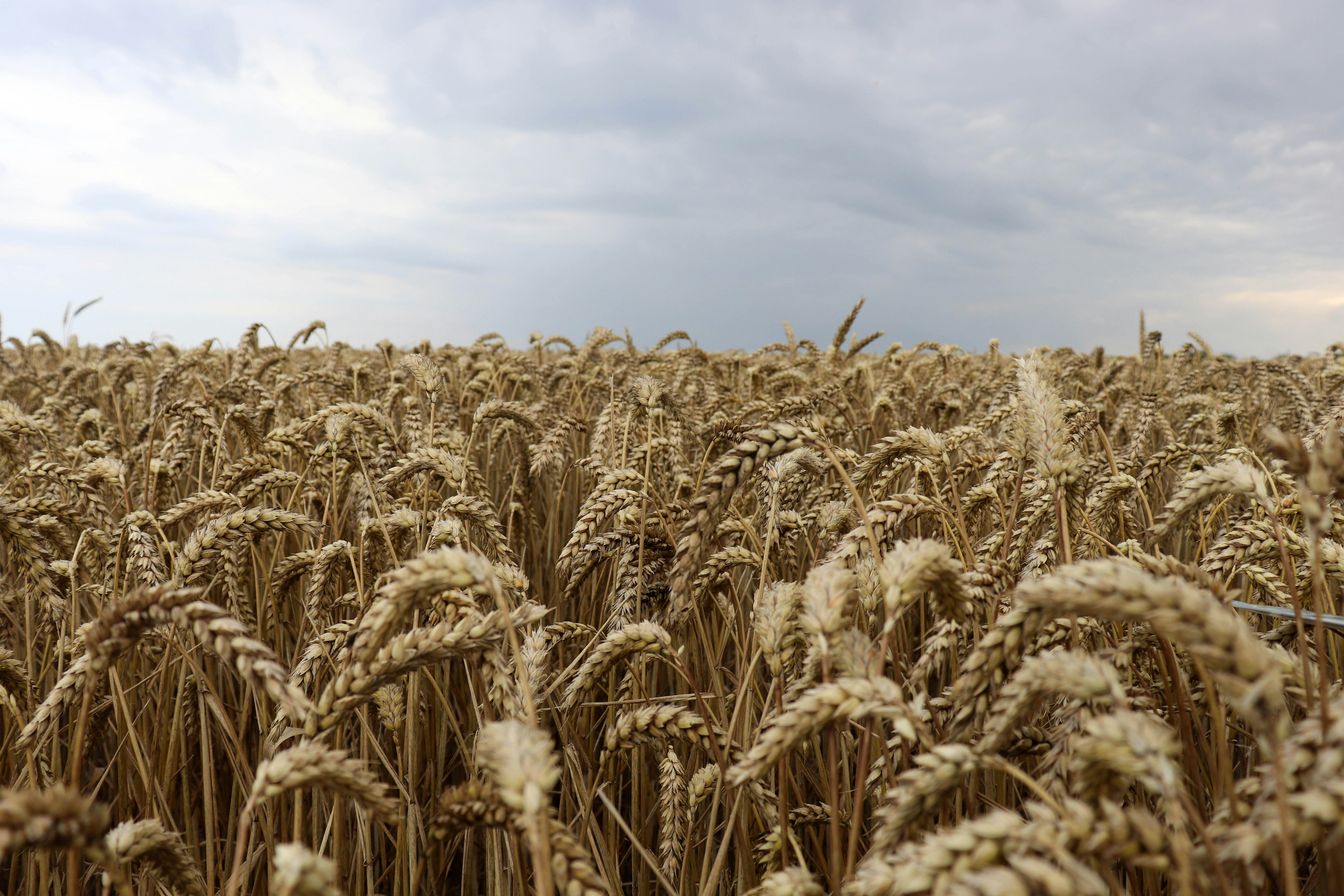 Photo by alix_guerin