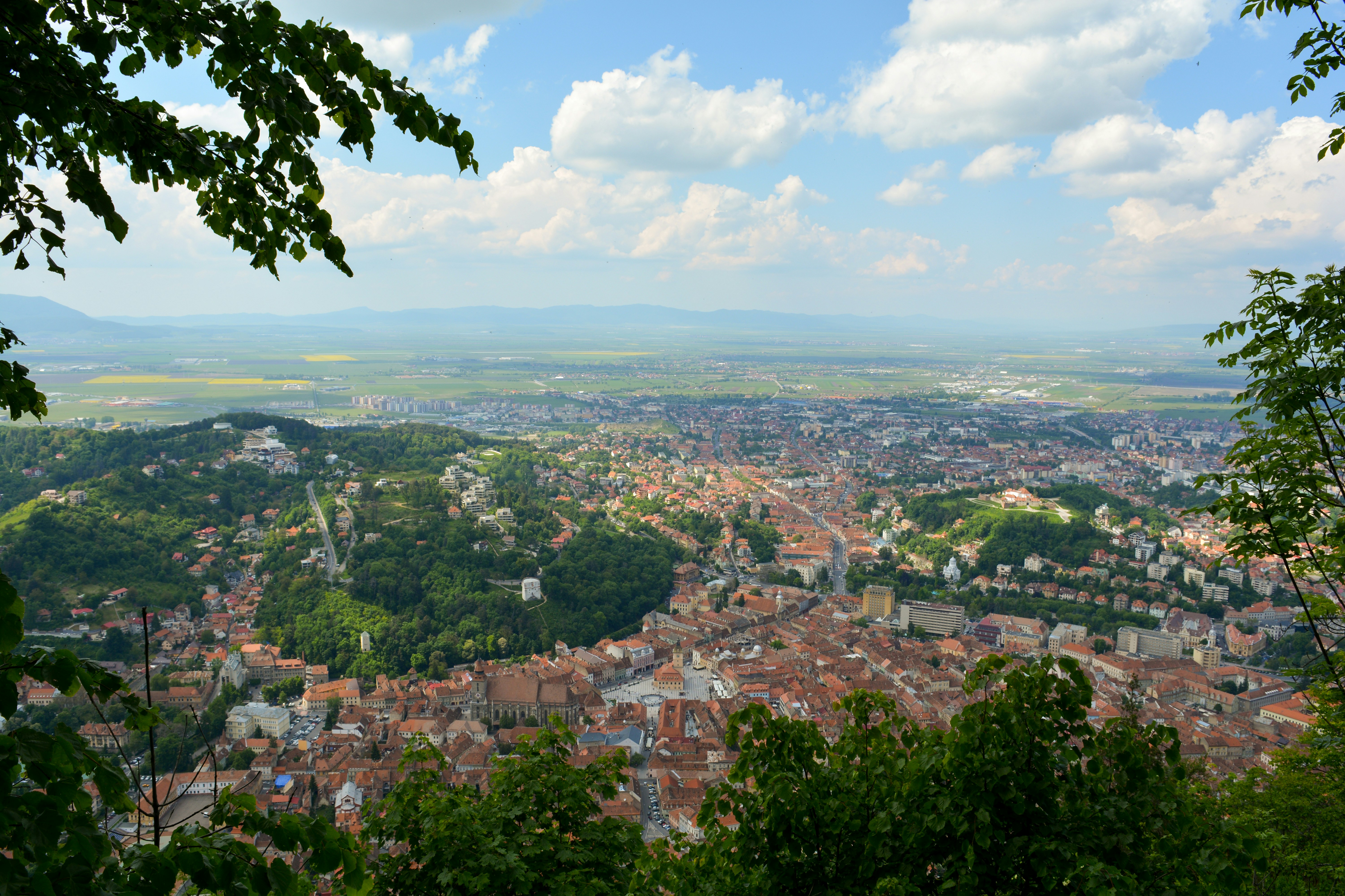 Snow Week Project: Thursday