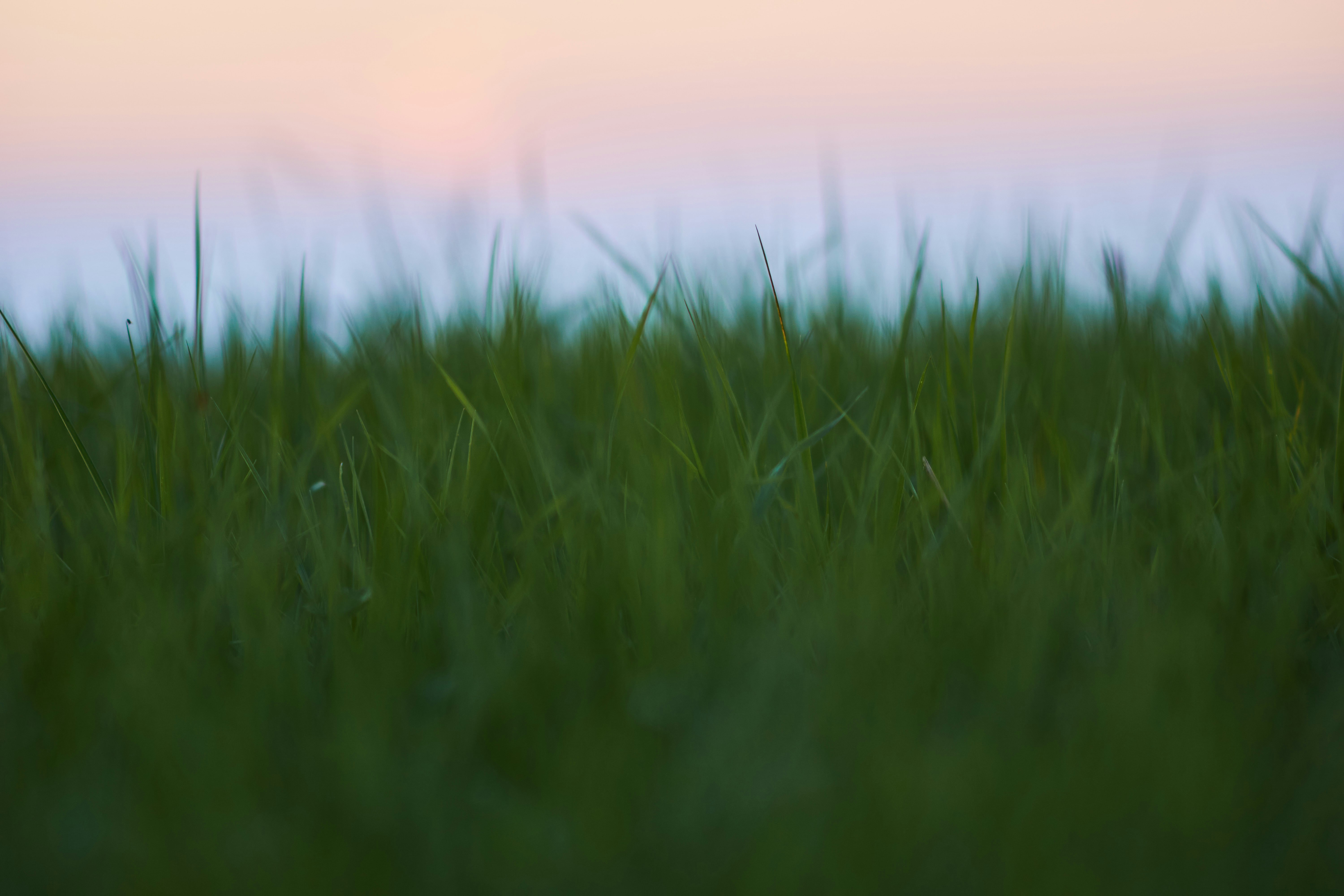 Photo by wolfgang_hasselmann