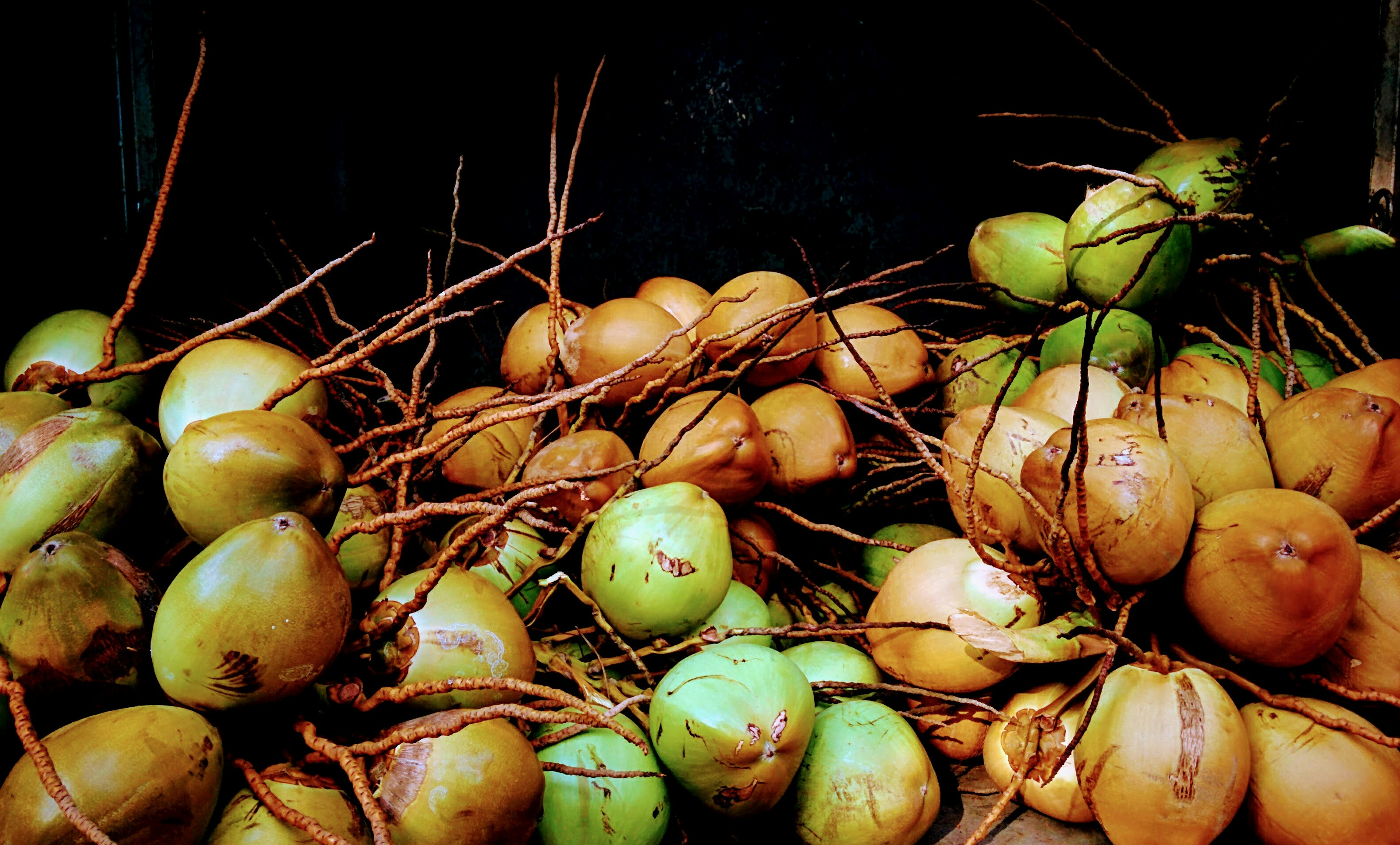 Productos de Coco de Guatemala
