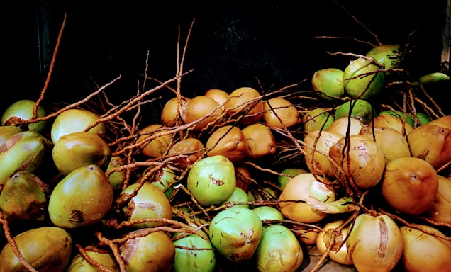 A large pile of coconuts with green and brown husks is gathered together. Long, dry stems are intertwined among the coconuts, creating a dense and natural arrangement.