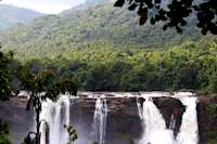 Best Late Night Coffee Places in Athirappilly Still Open After Dark