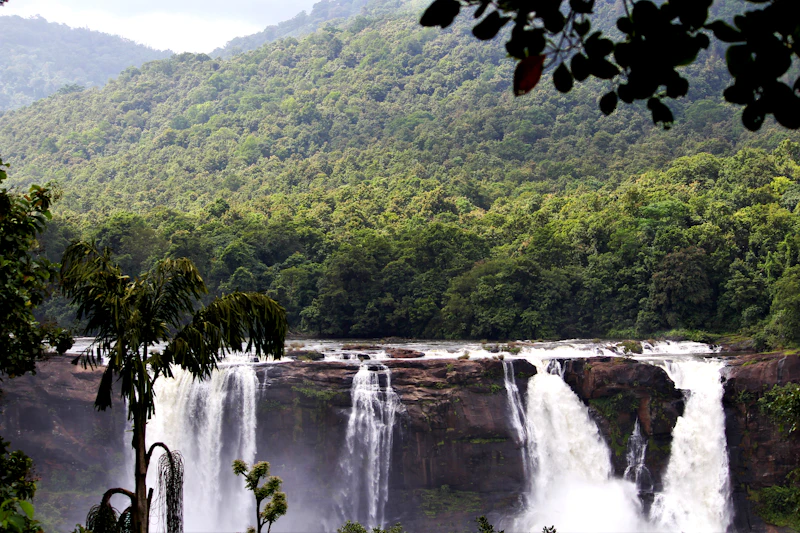 Best Late Night Coffee Places in Athirappilly Still Open After Dark