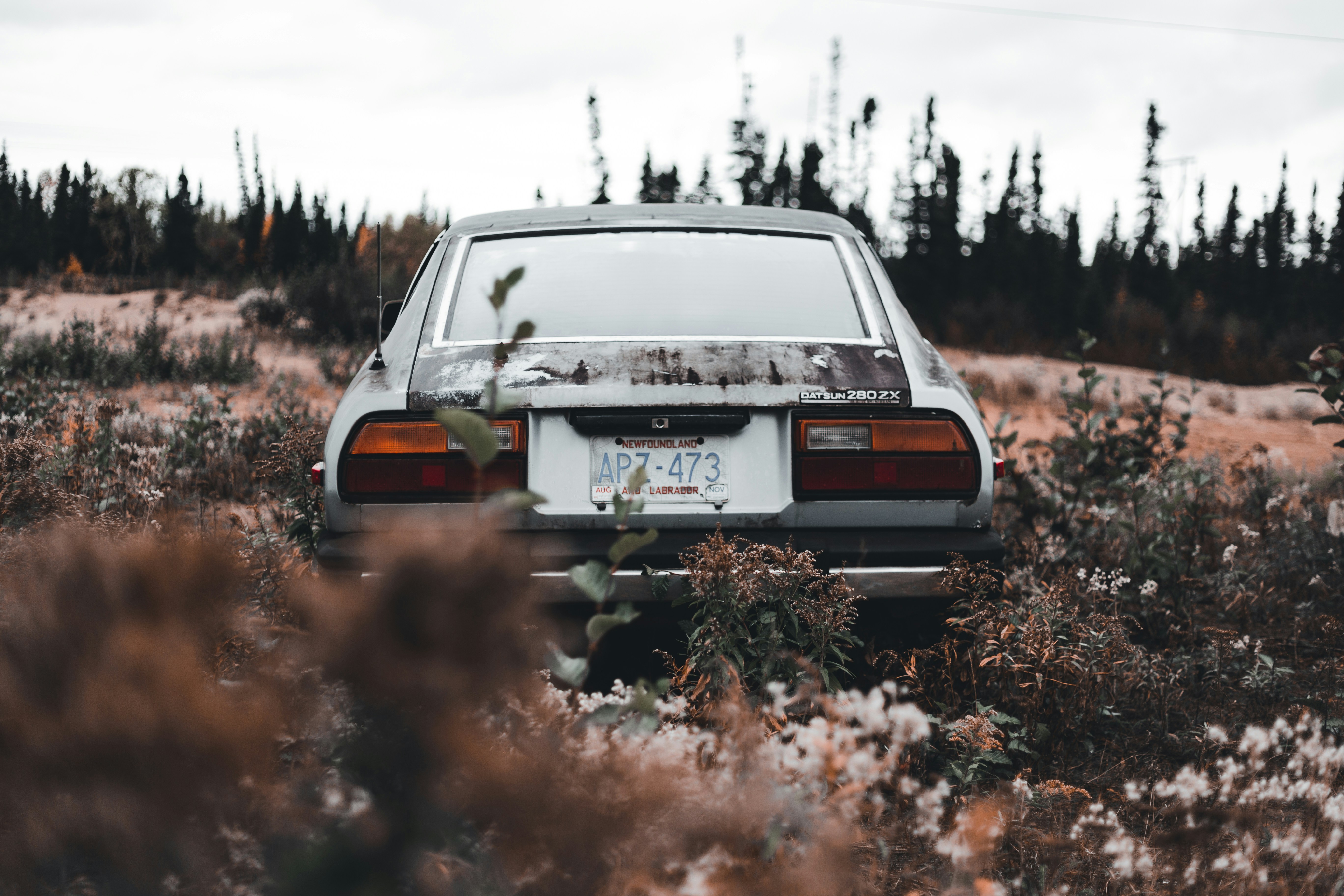 Stolen Car Check: Essential Guide for Buyers — CarVouch used car guide