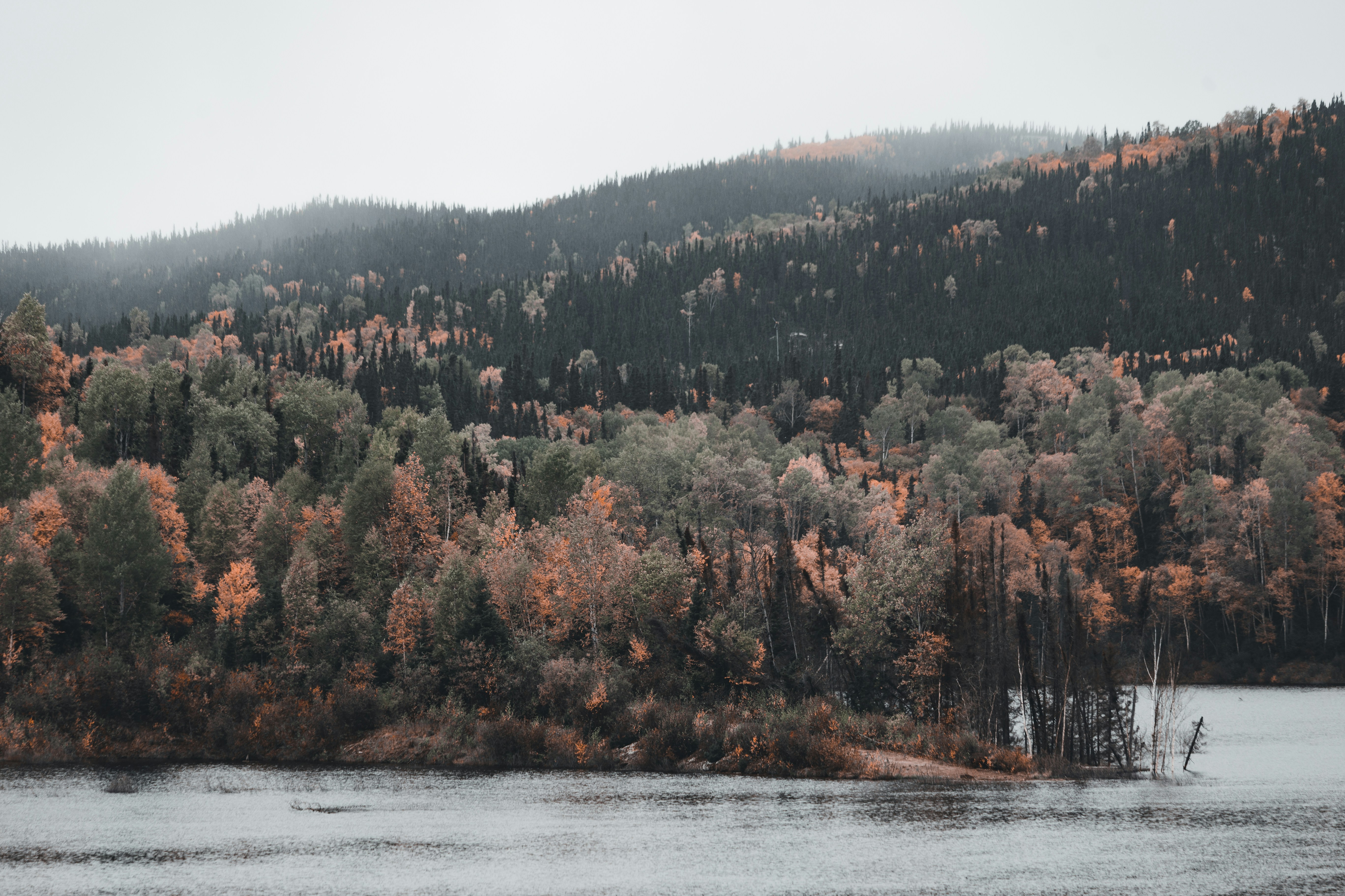 Photo by introspectivedsgn