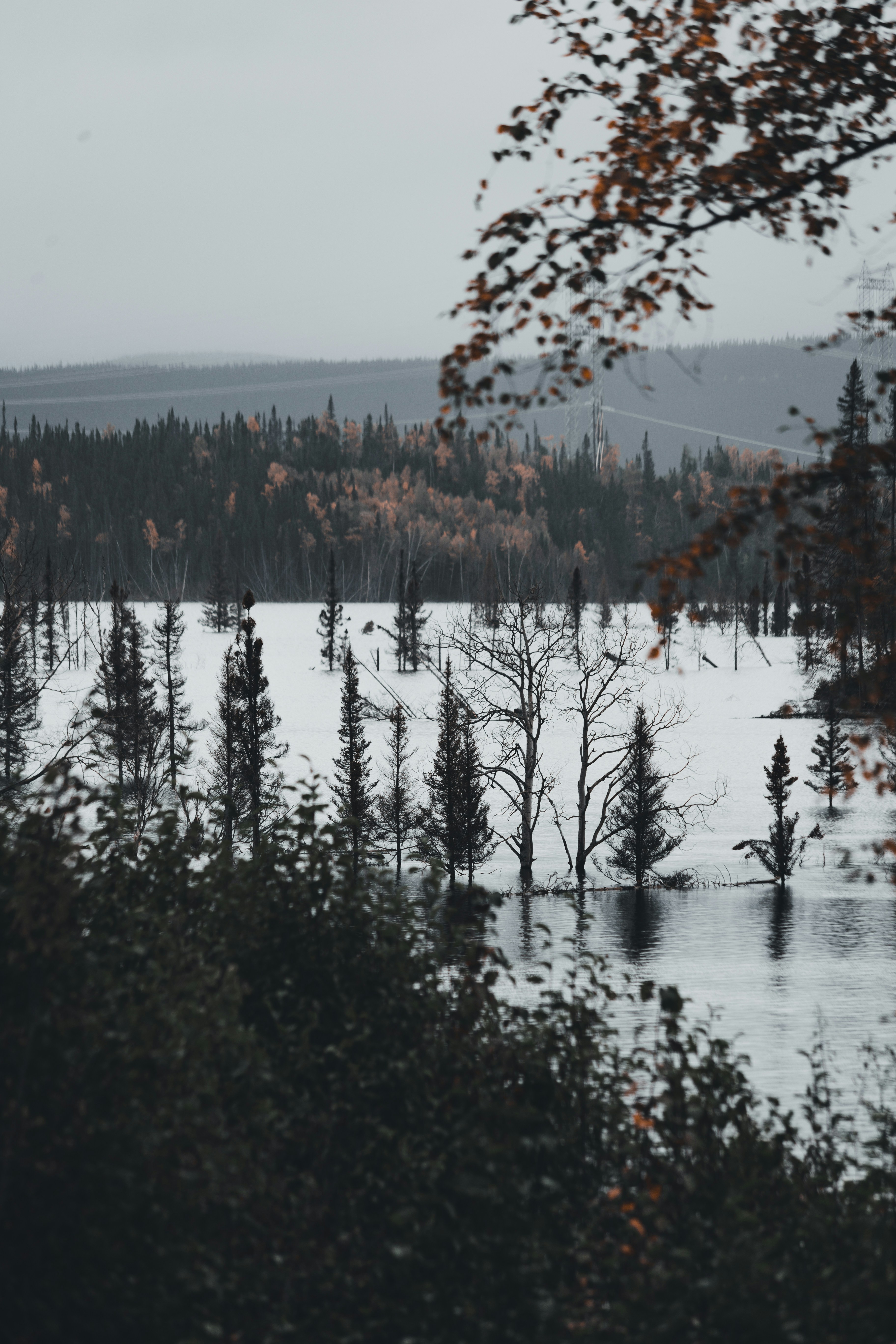 Photo by introspectivedsgn