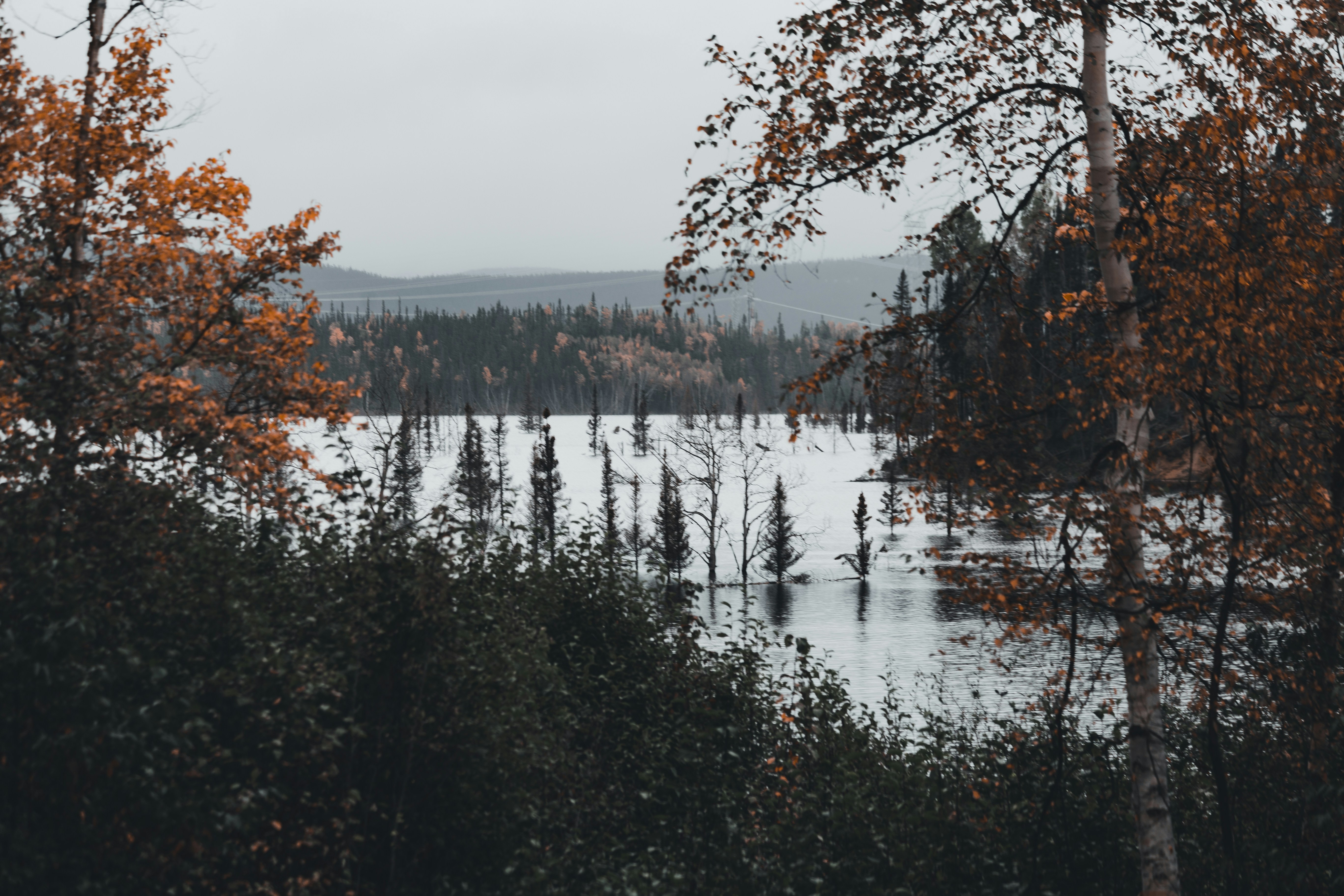 Photo by introspectivedsgn