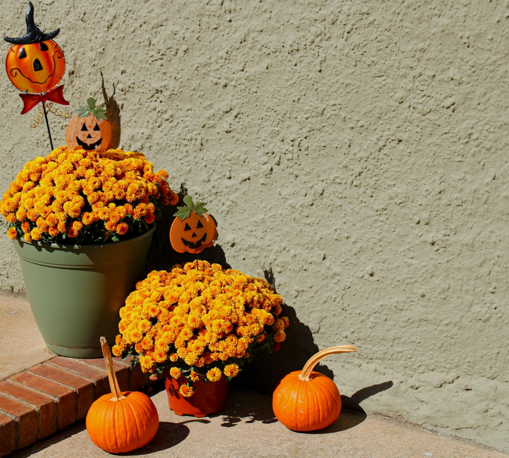 a potted plant filled with lots of yellow flowers