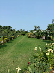 A vibrant backyard featuring lush green lawns with tropical flowering shrubs under bright blue skies.