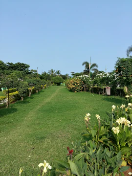 A vibrant backyard featuring lush green lawns with tropical flowering shrubs under bright blue skies.