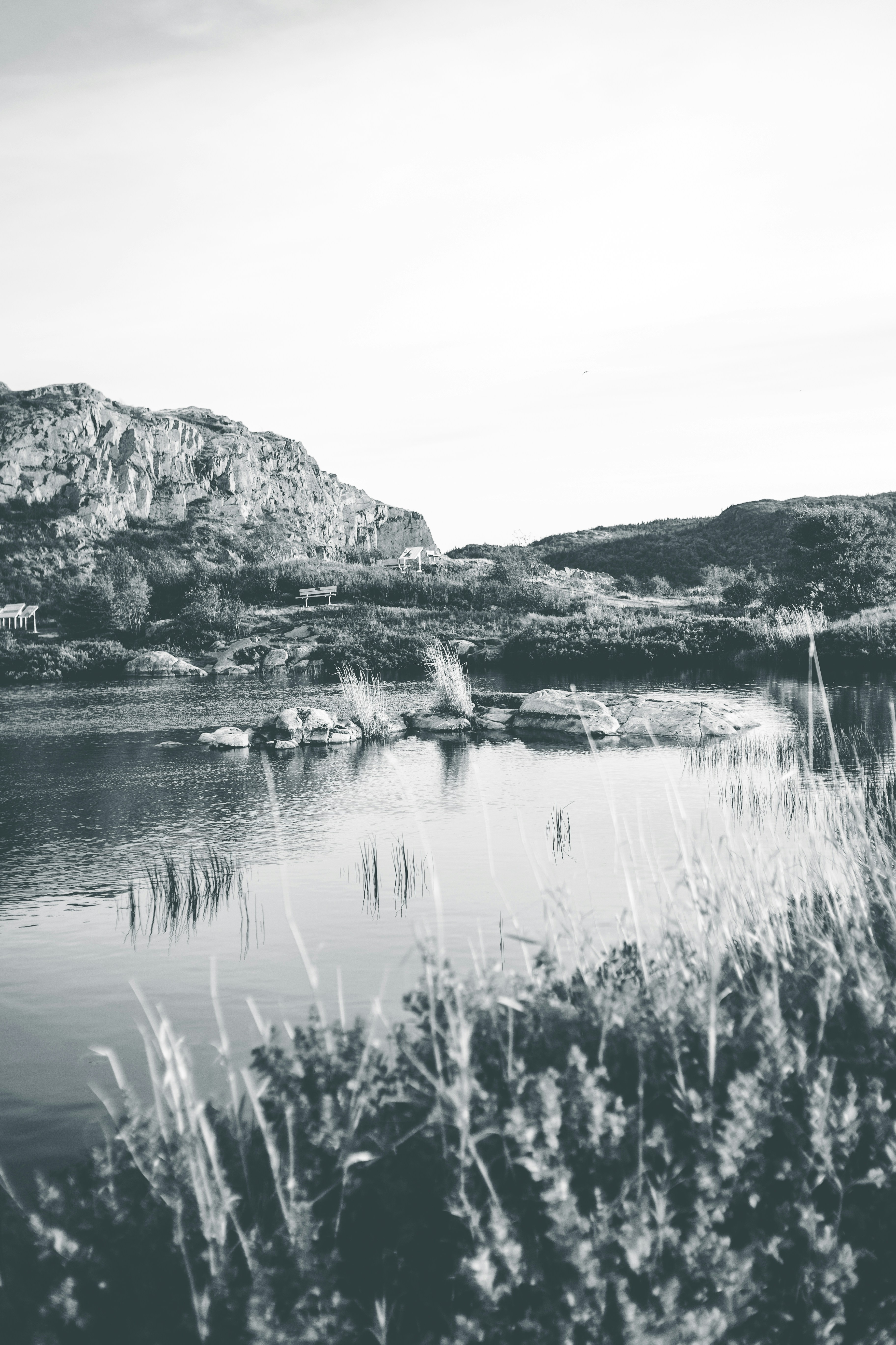 Photo by introspectivedsgn