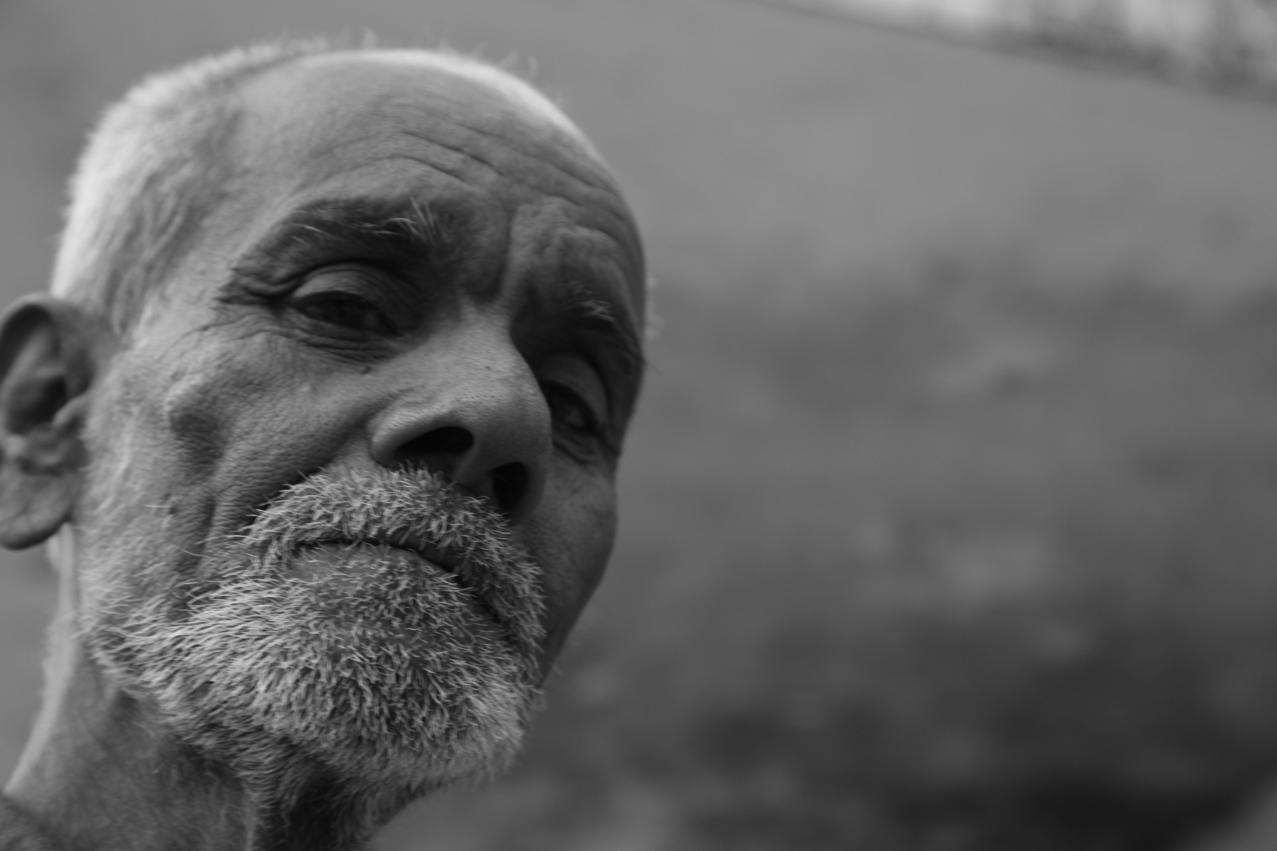 Photo by vishnuvasu1962