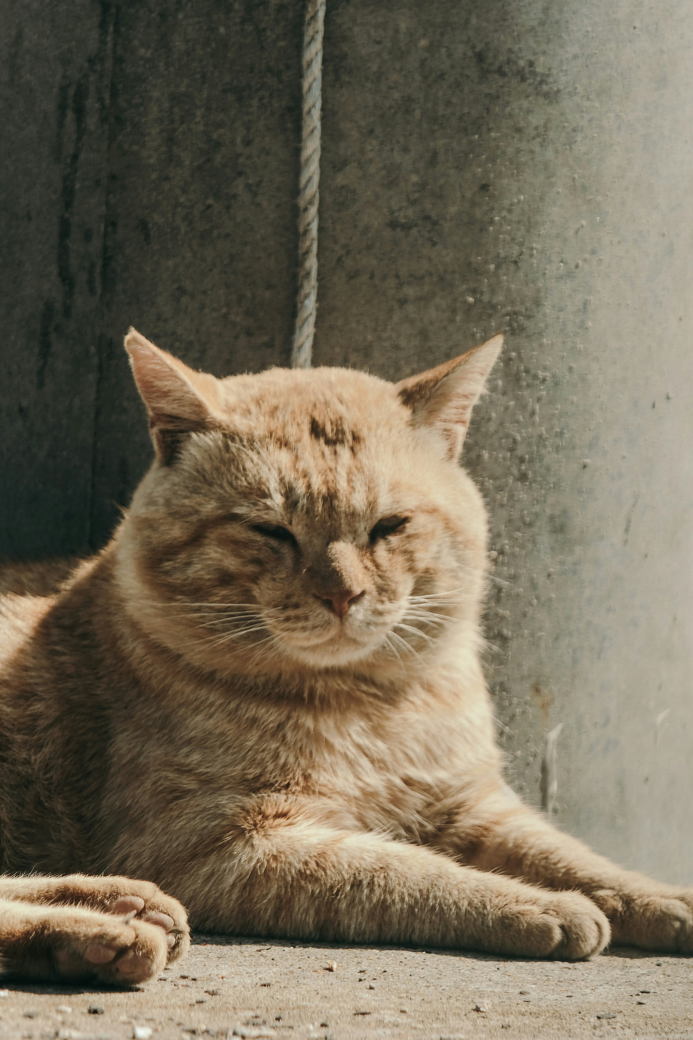 Photo by insungpandora