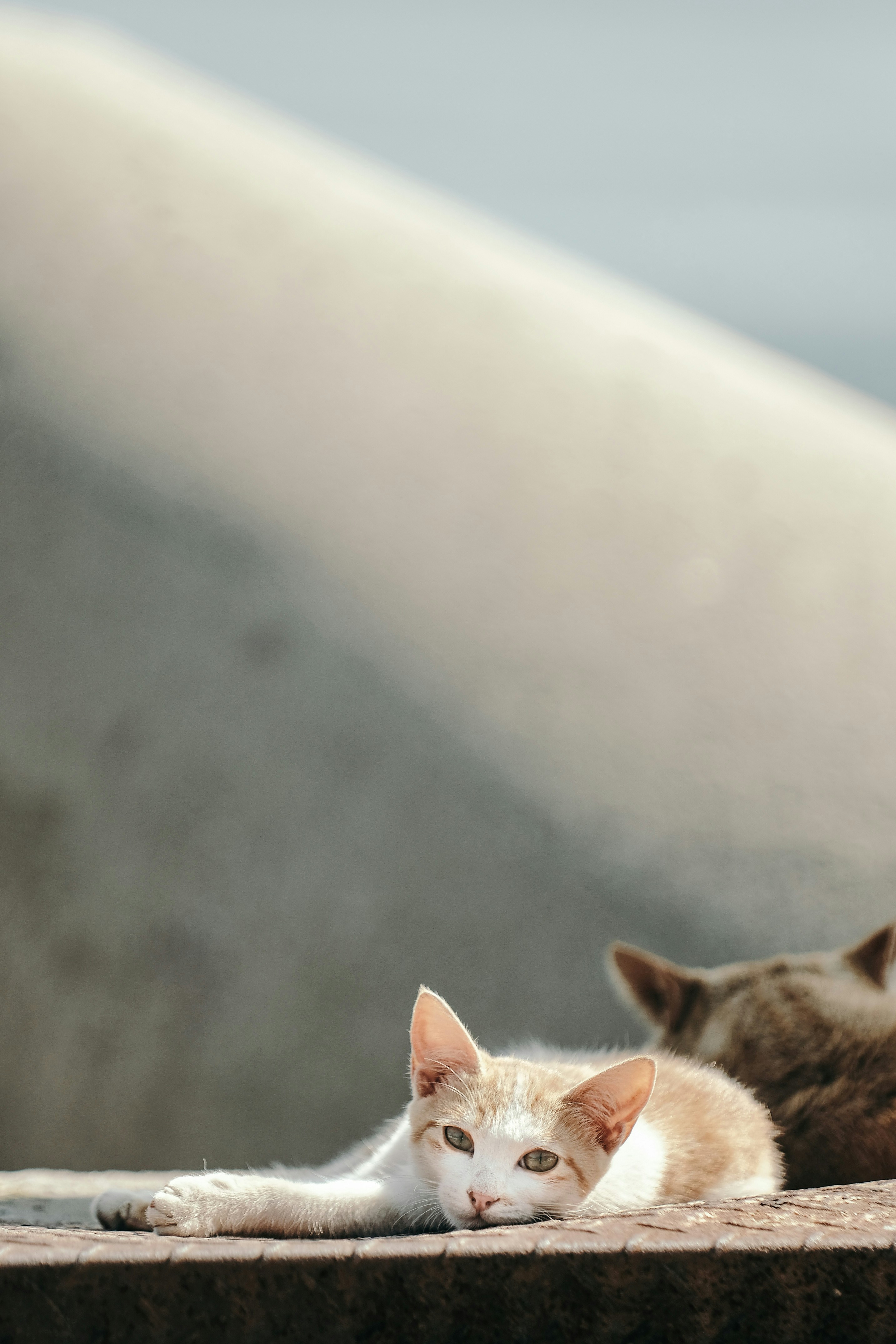 Photo by insungpandora