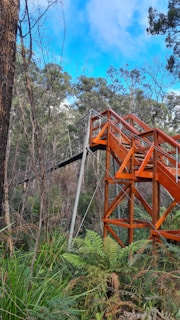 A wooden observation platform is surrounded by a dense forest, with tall trees and lush green vegetation. The sky is blue with scattered clouds, contrasting with the vibrant earth tones of the structure.
