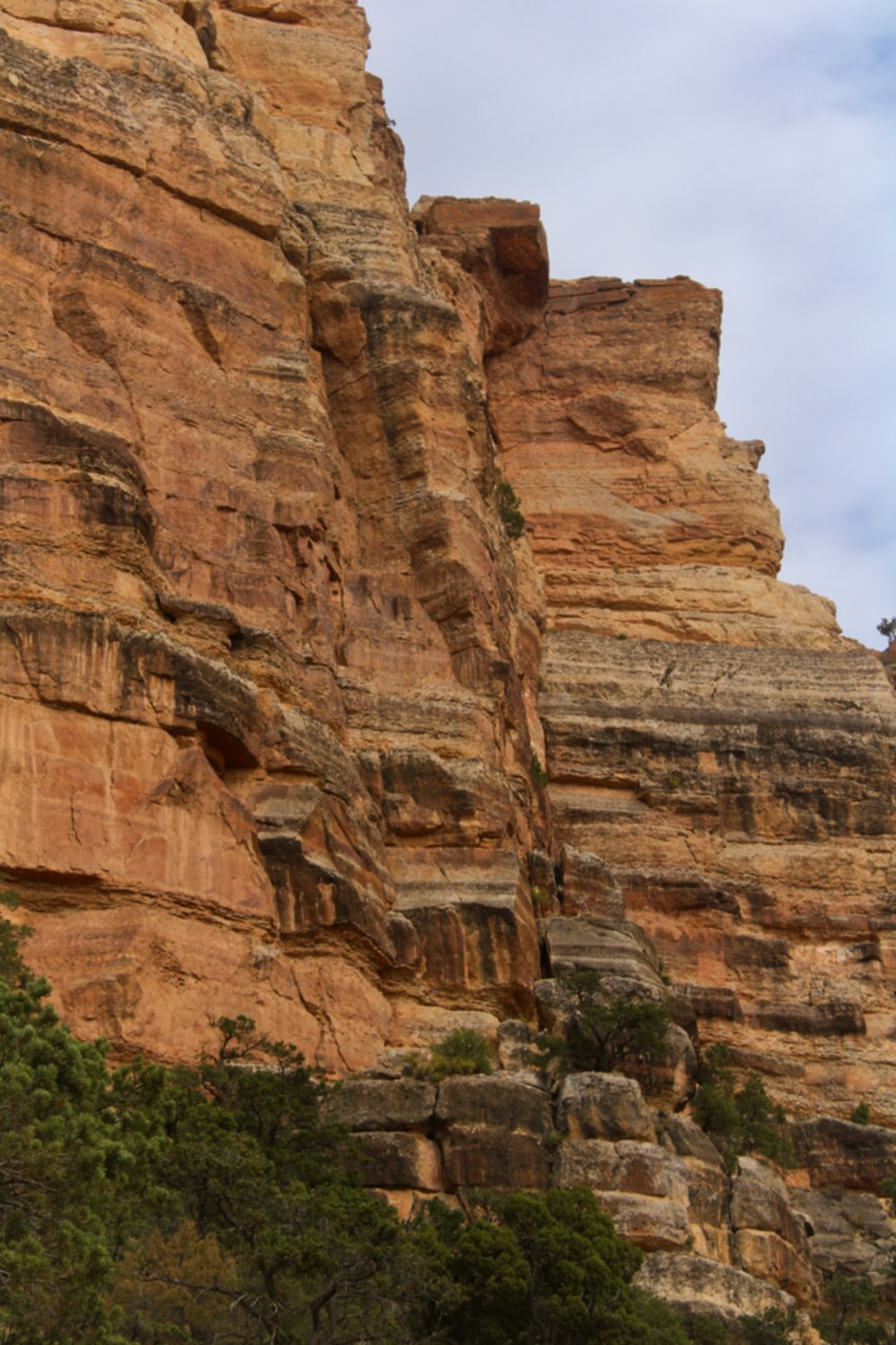 une grande formation rocheuse avec des arbres qui en sortent