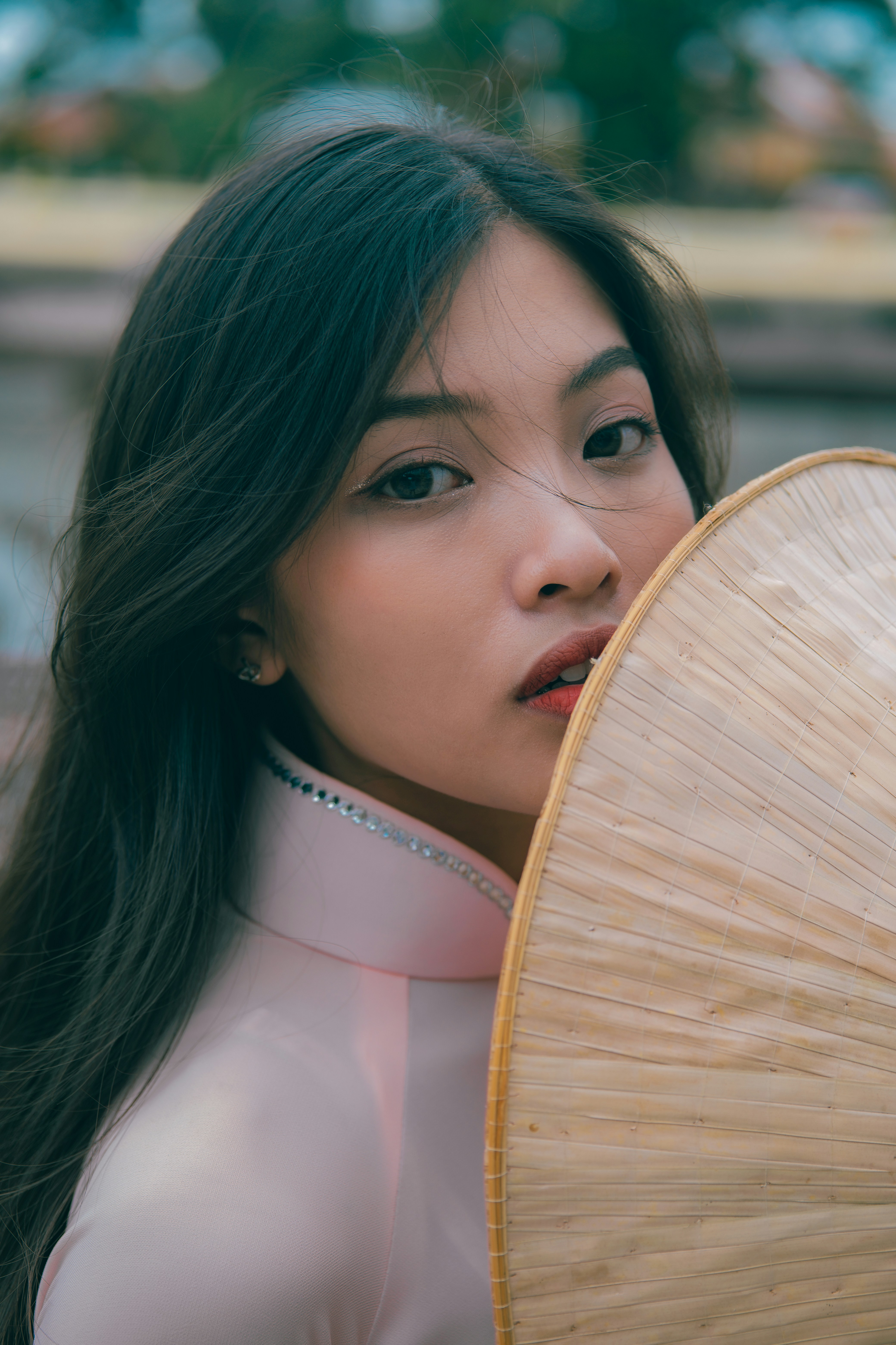 Photo by mtmanhtri