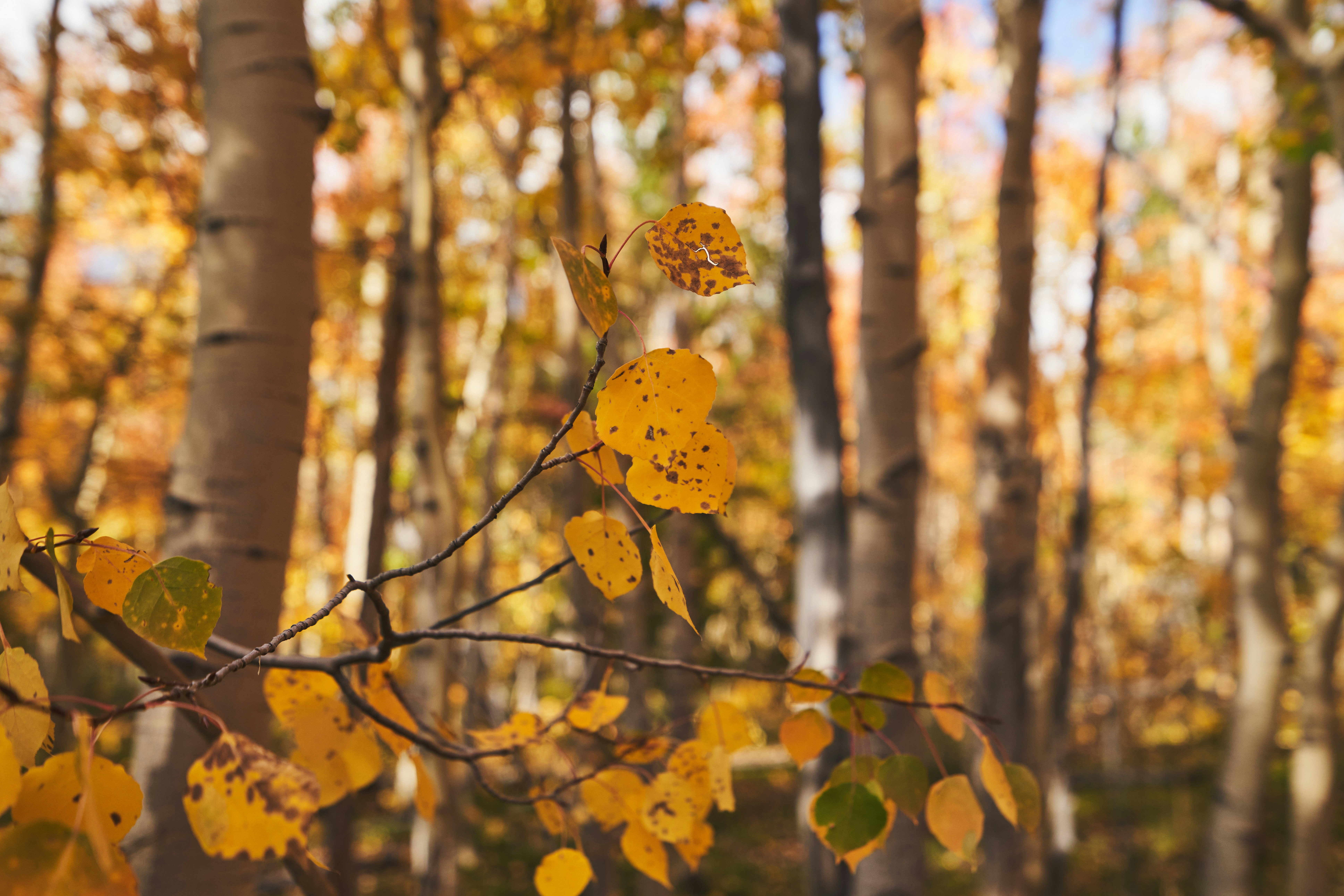 Photo by sheelahbrennan