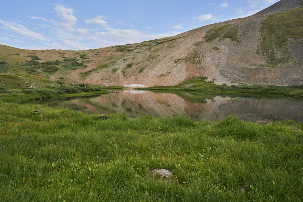 a mountain lake surrounded by lush green grass