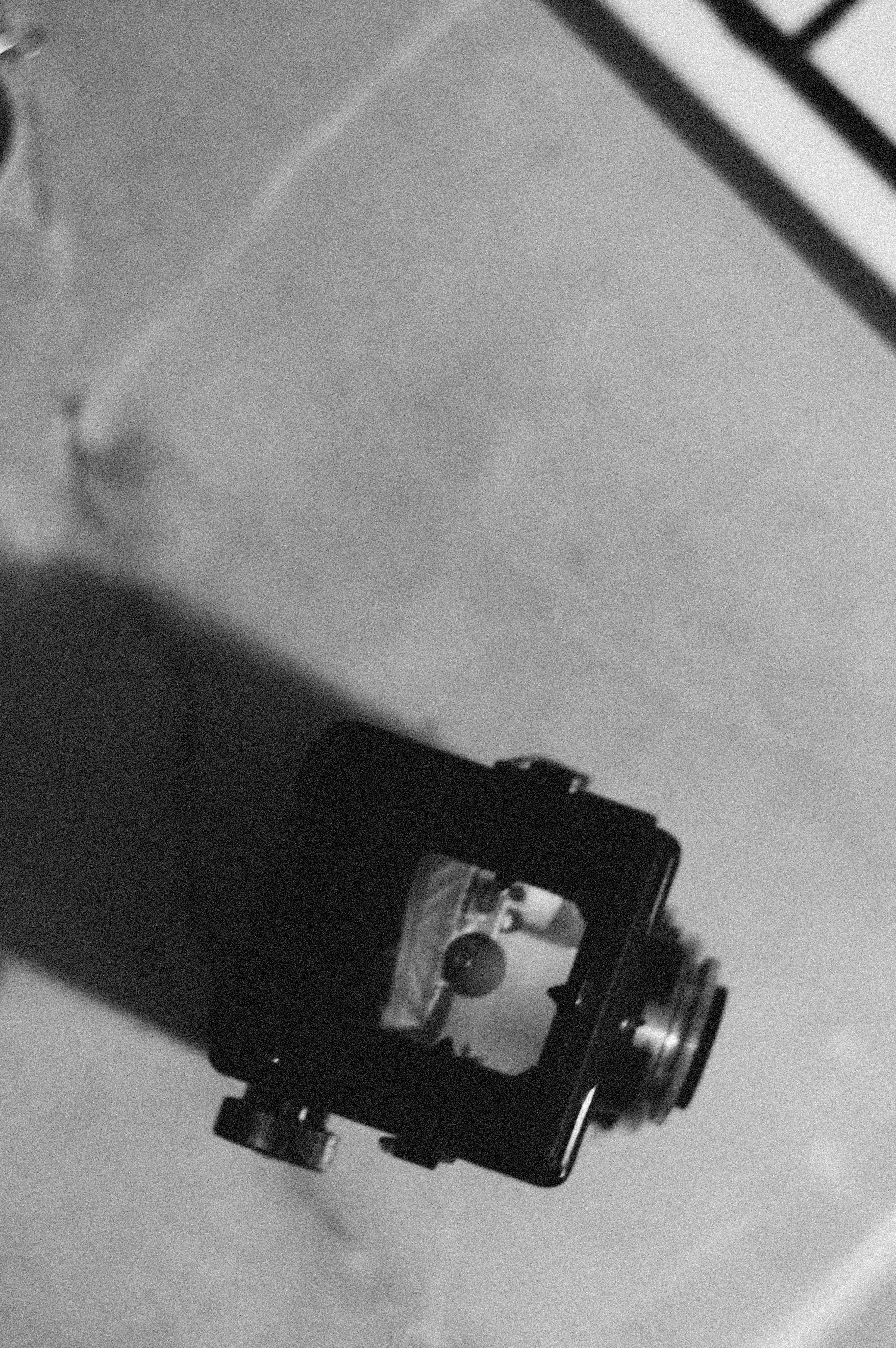 Photo by alexeydemidov