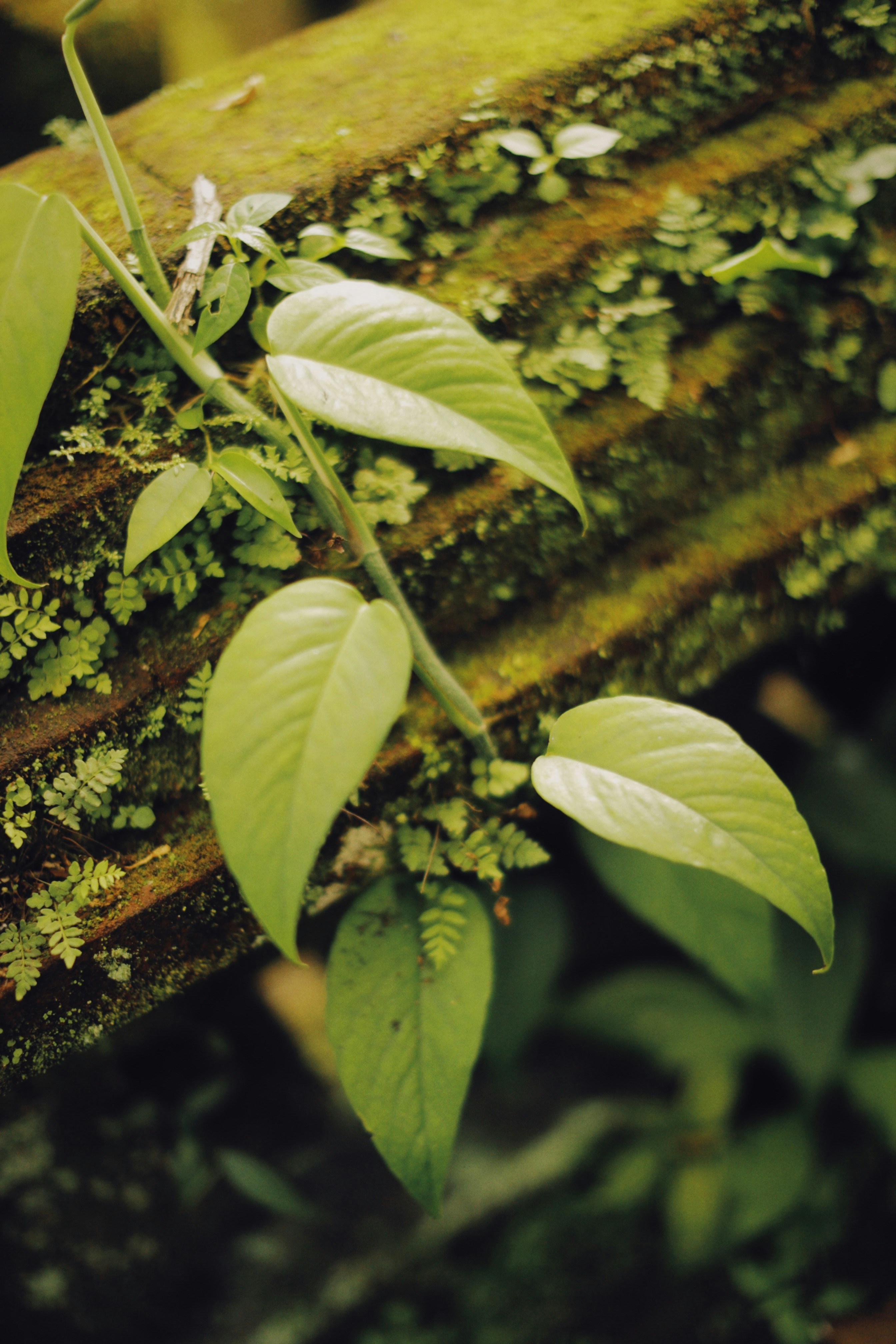 Photo by alexeydemidov