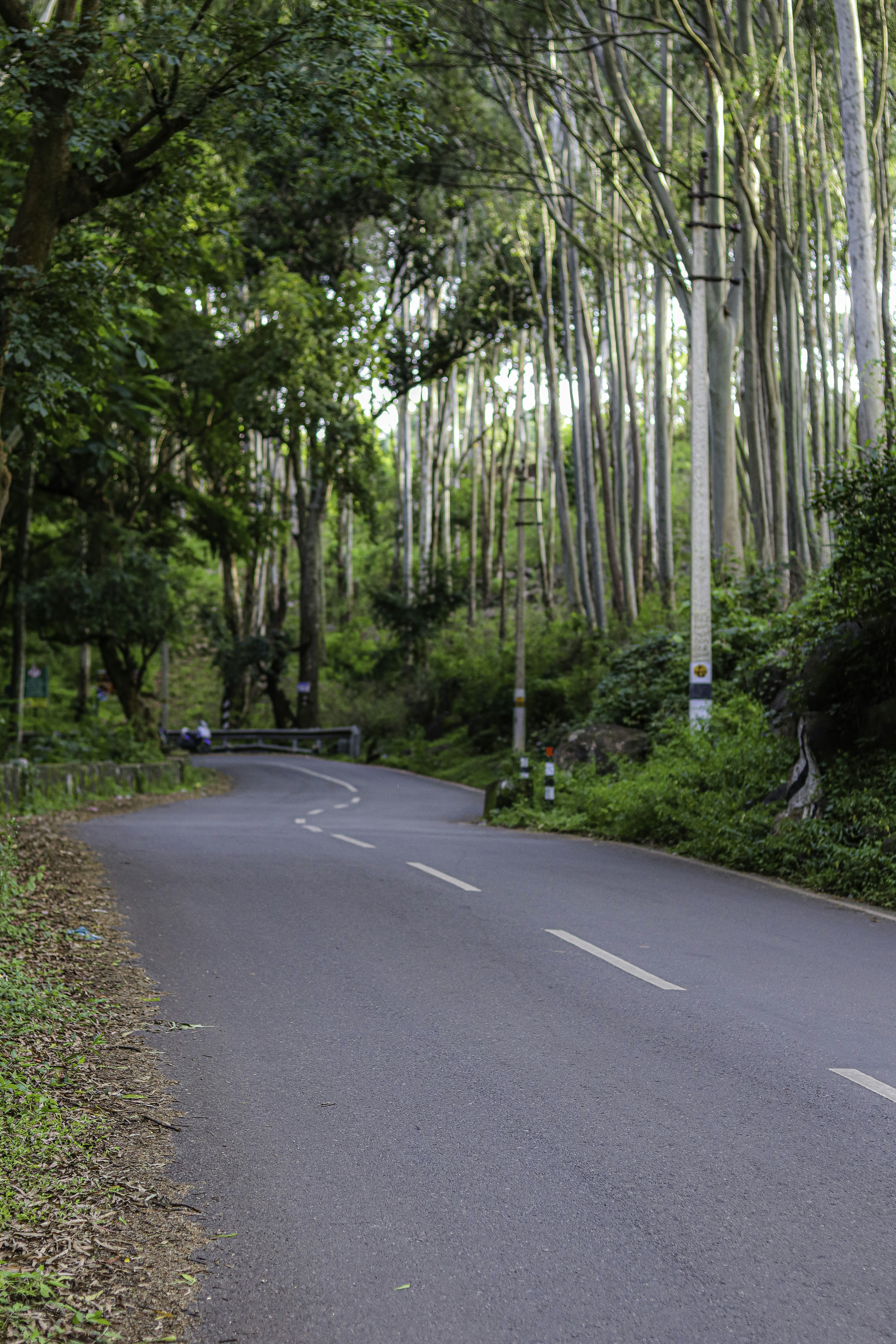 Photo by venthan05_photohouse