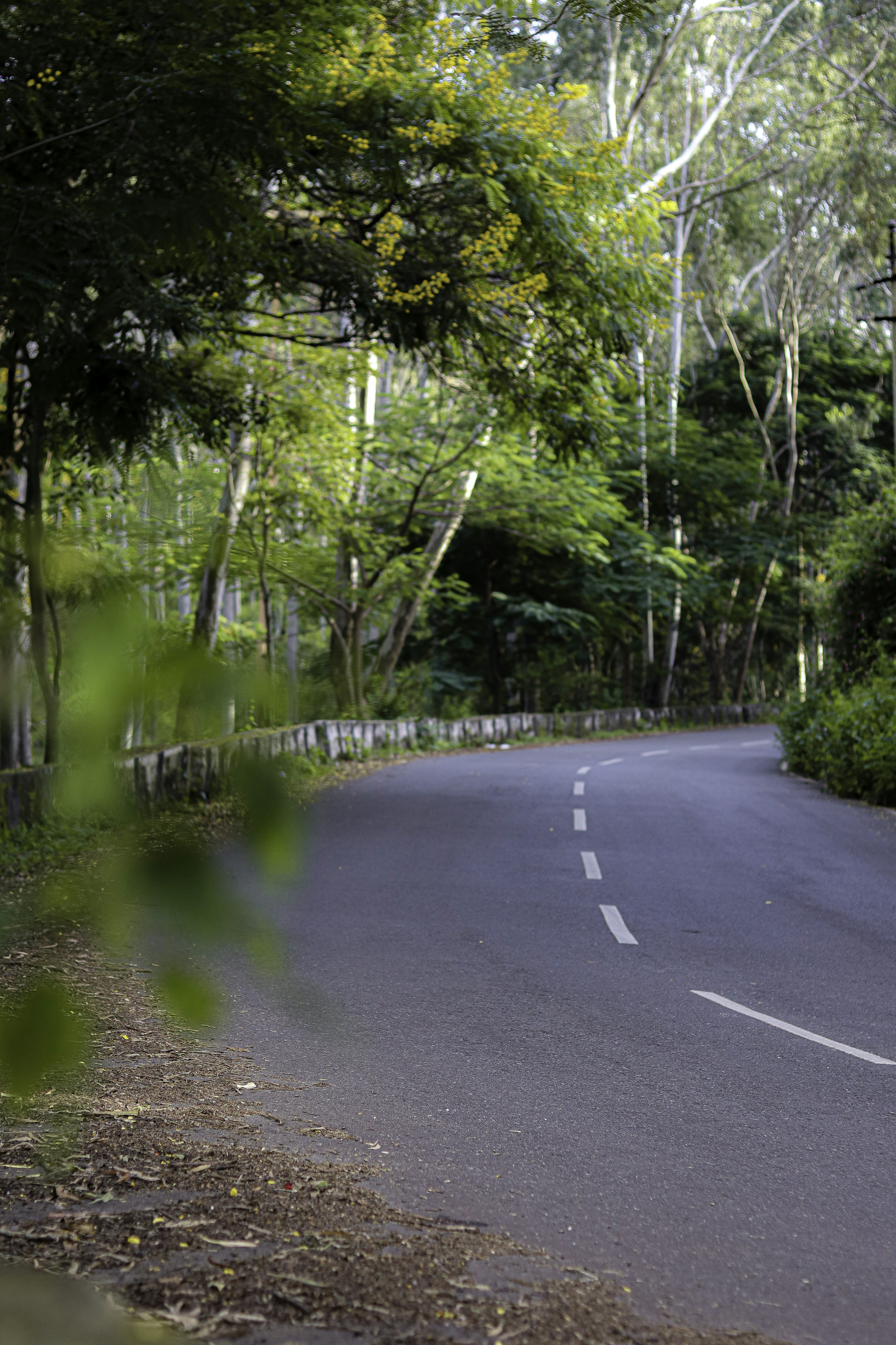 Photo by venthan05_photohouse