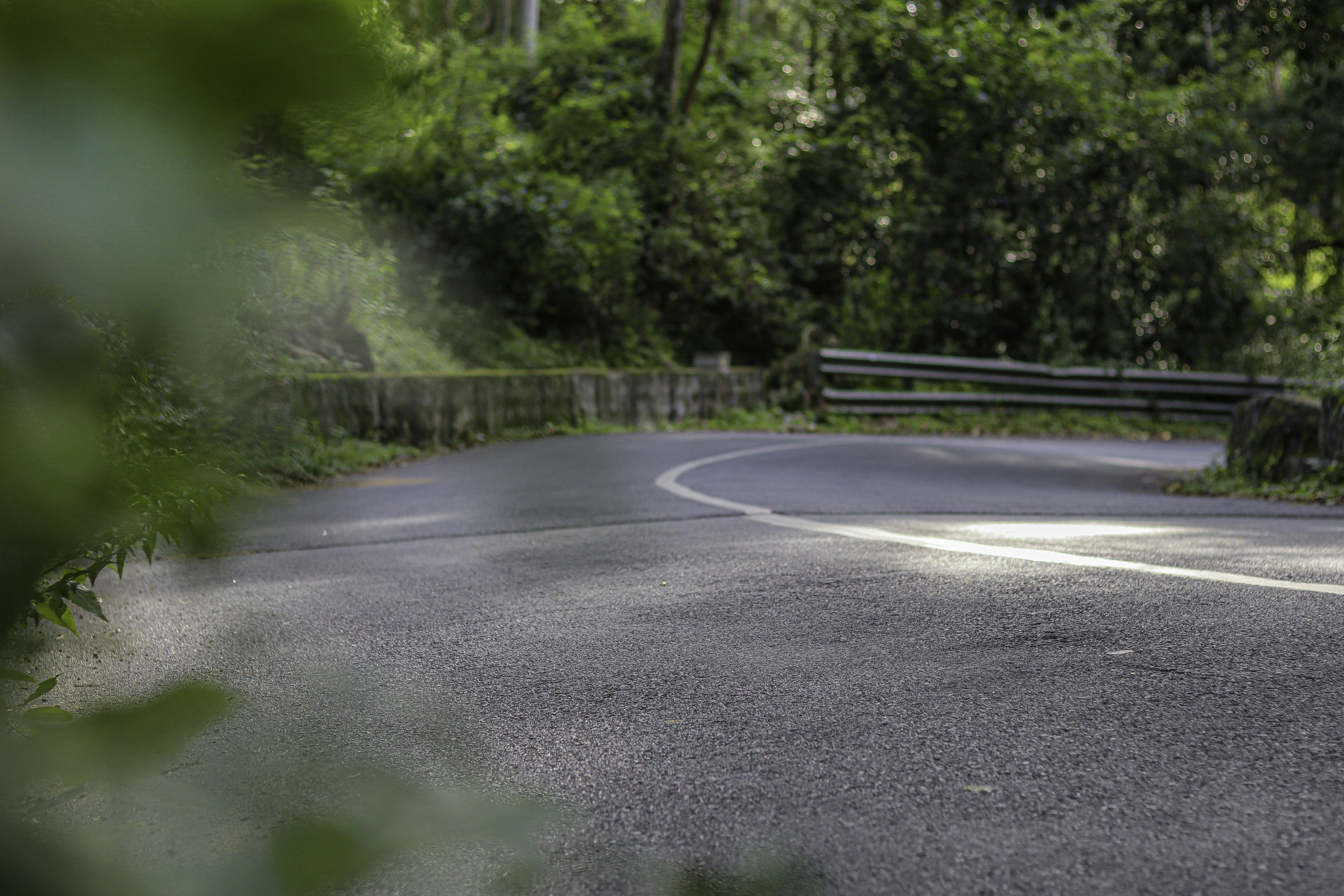 Photo by venthan05_photohouse