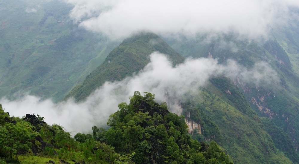 a mountain covered in clouds and trees on a cloudy day