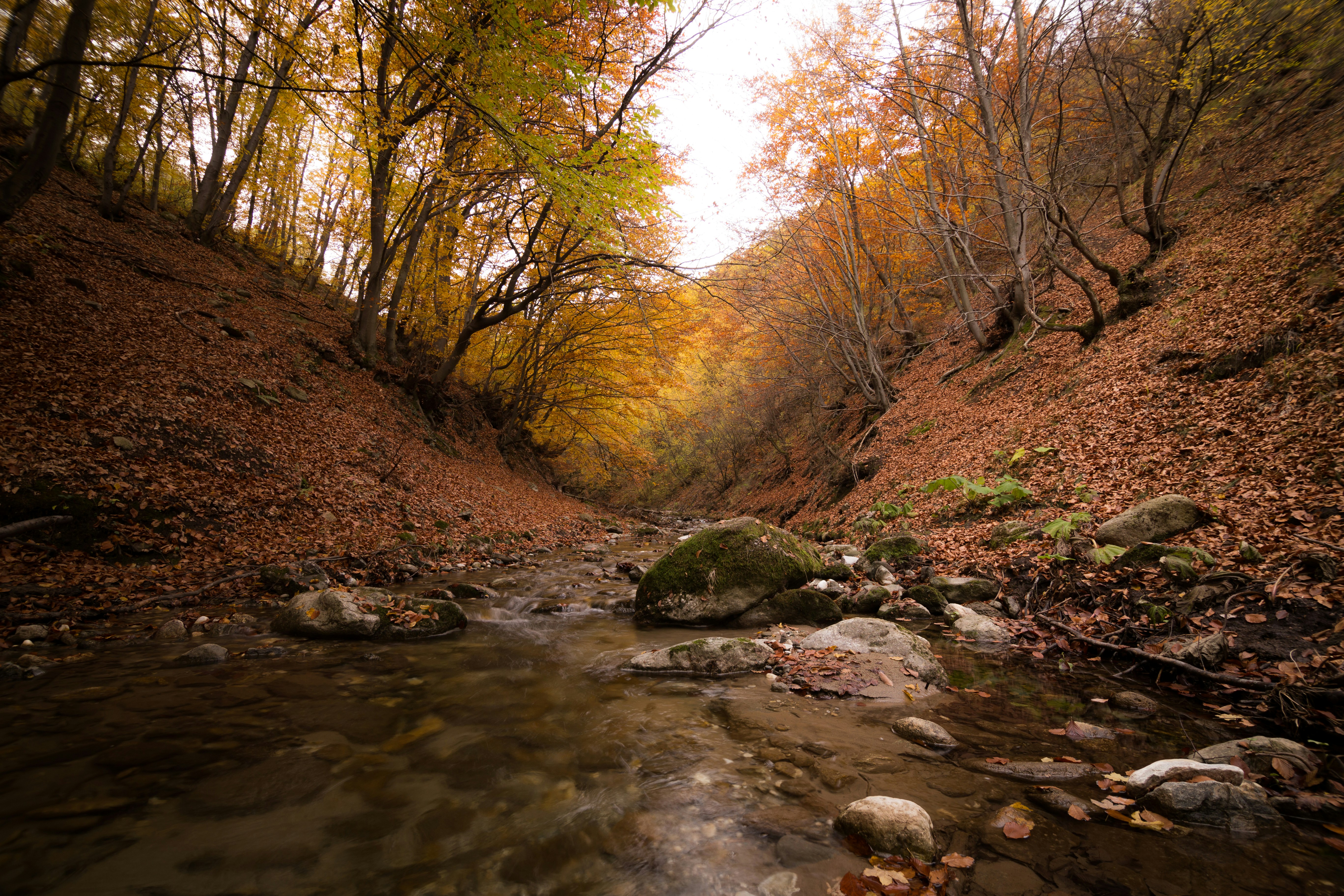 Photo by blooddrainer