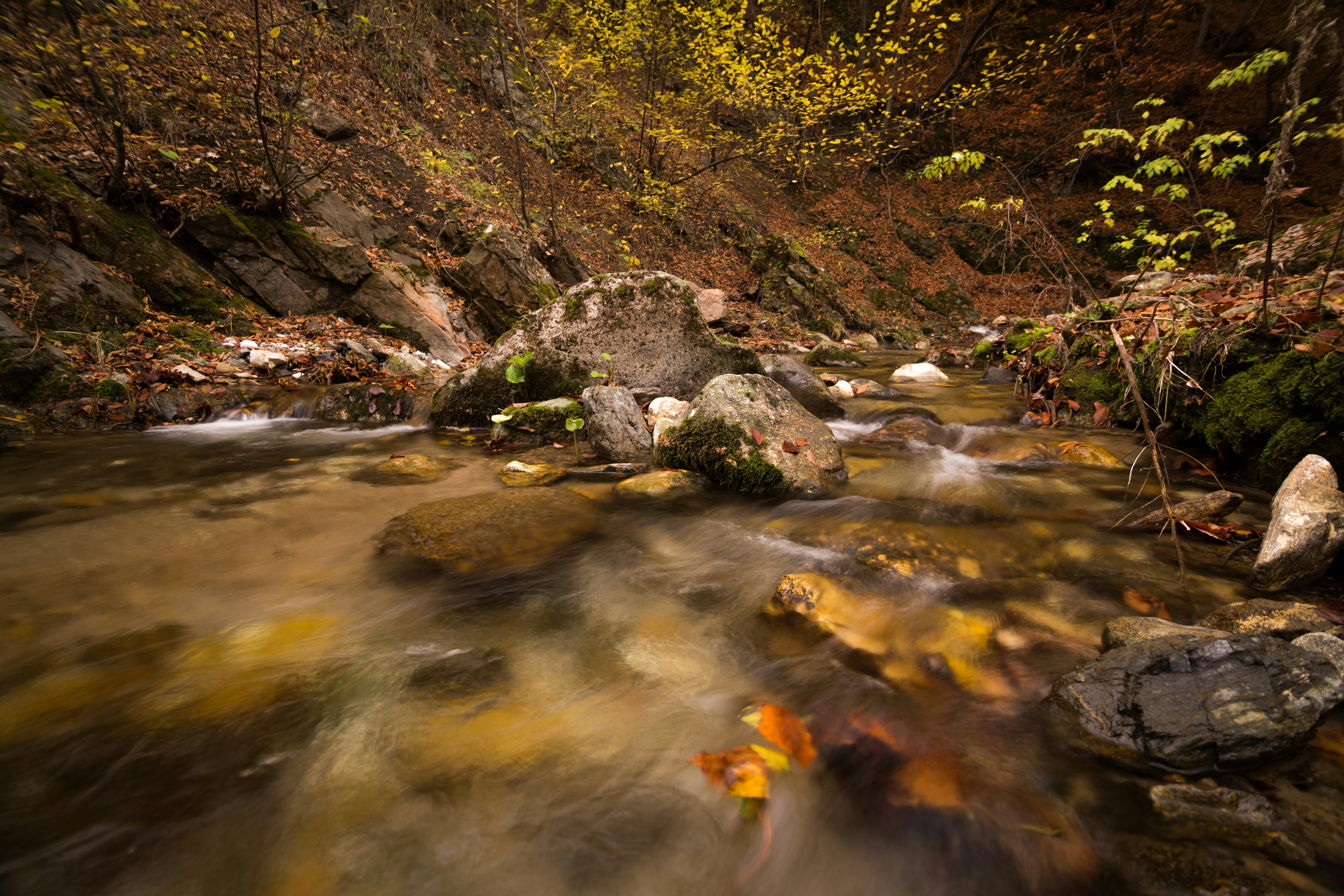 Photo by blooddrainer