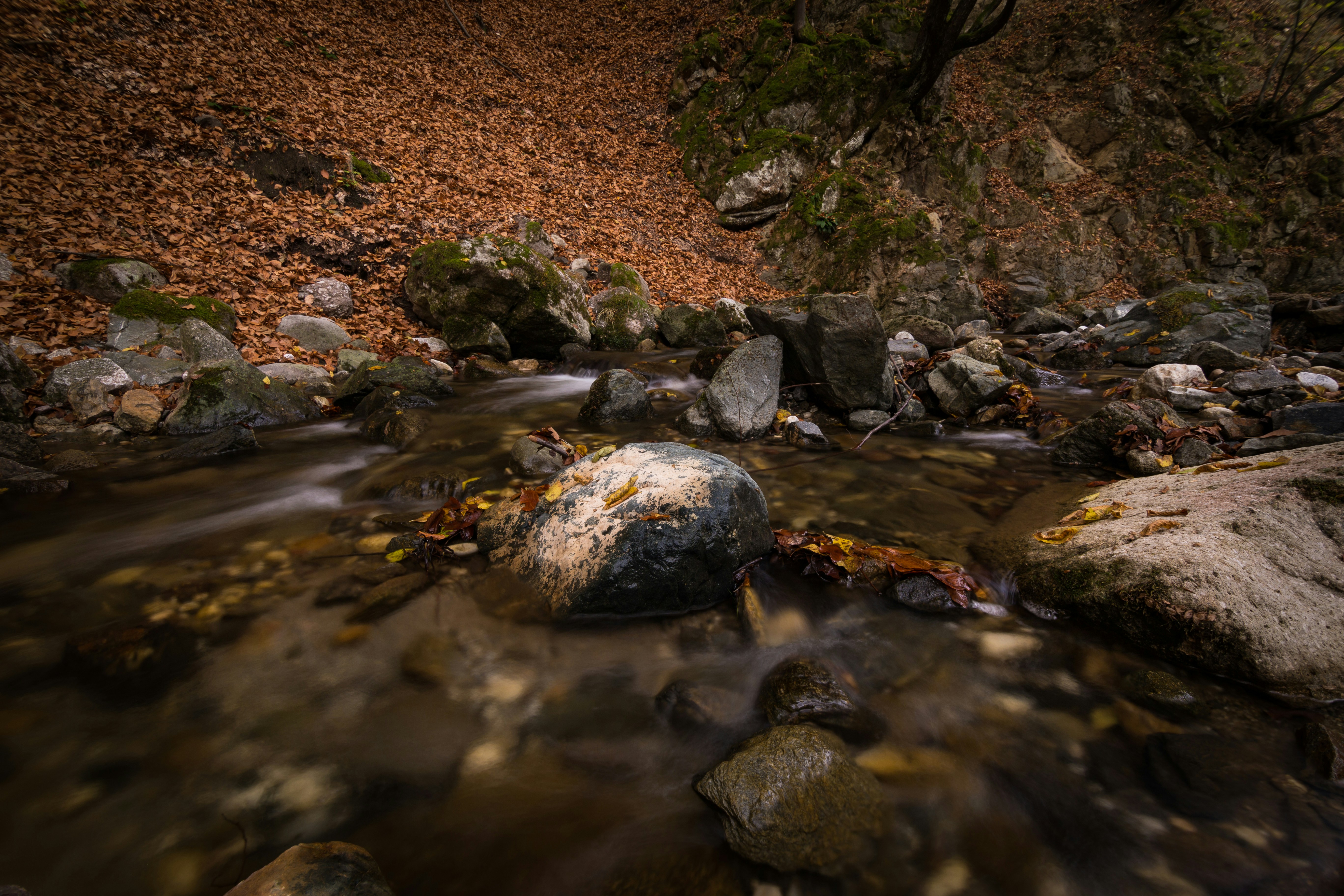 Photo by blooddrainer