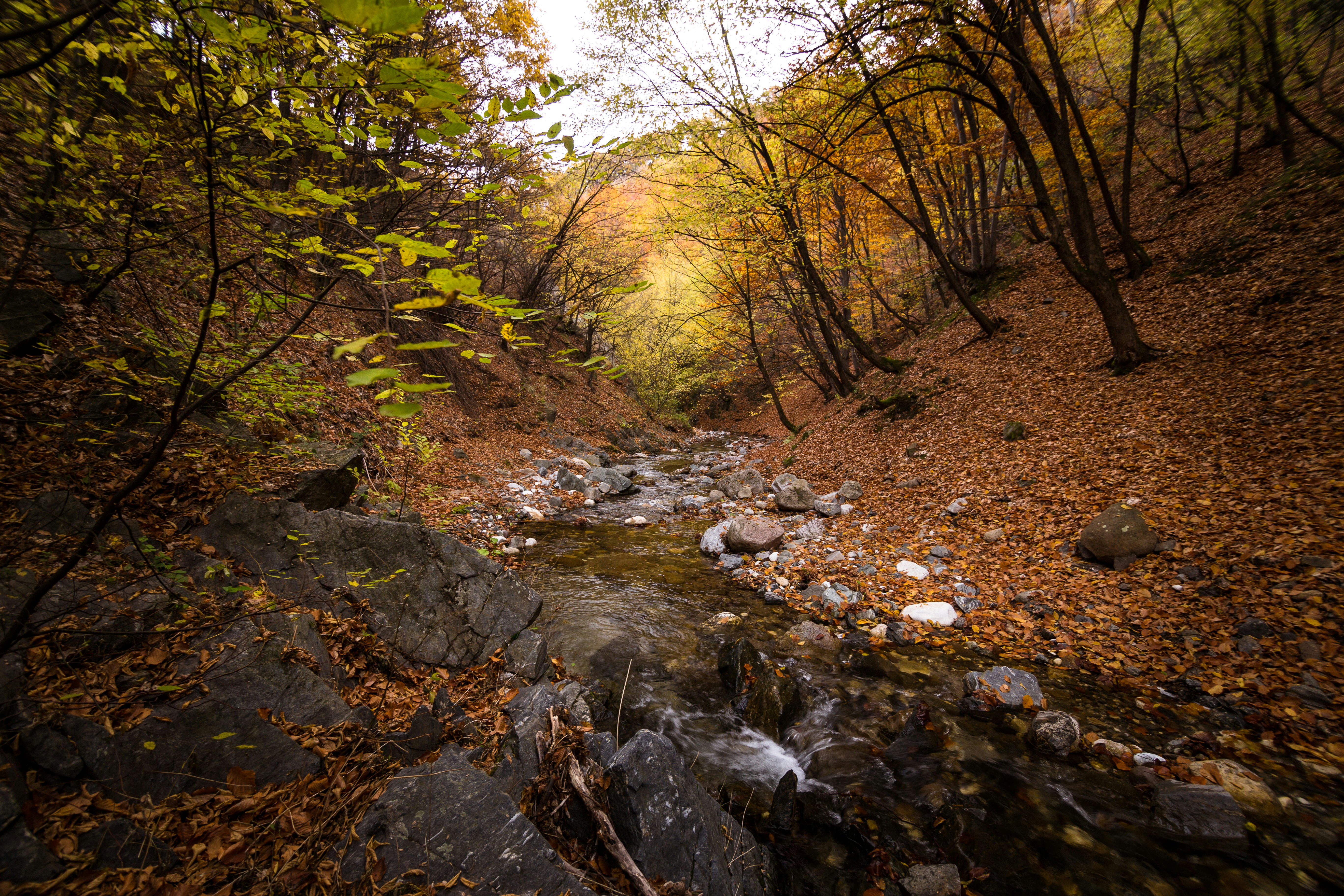 Photo by blooddrainer