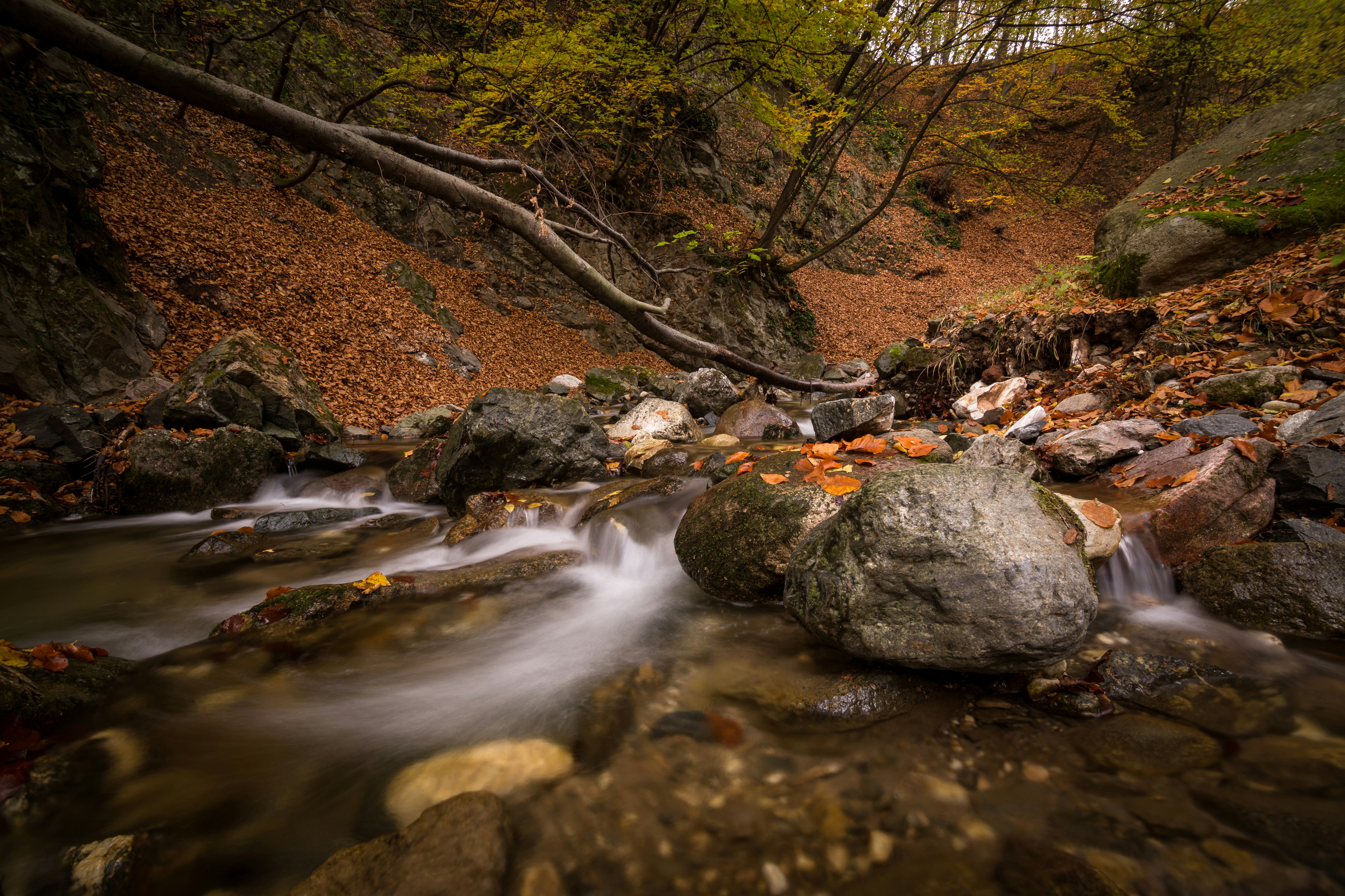 Photo by blooddrainer