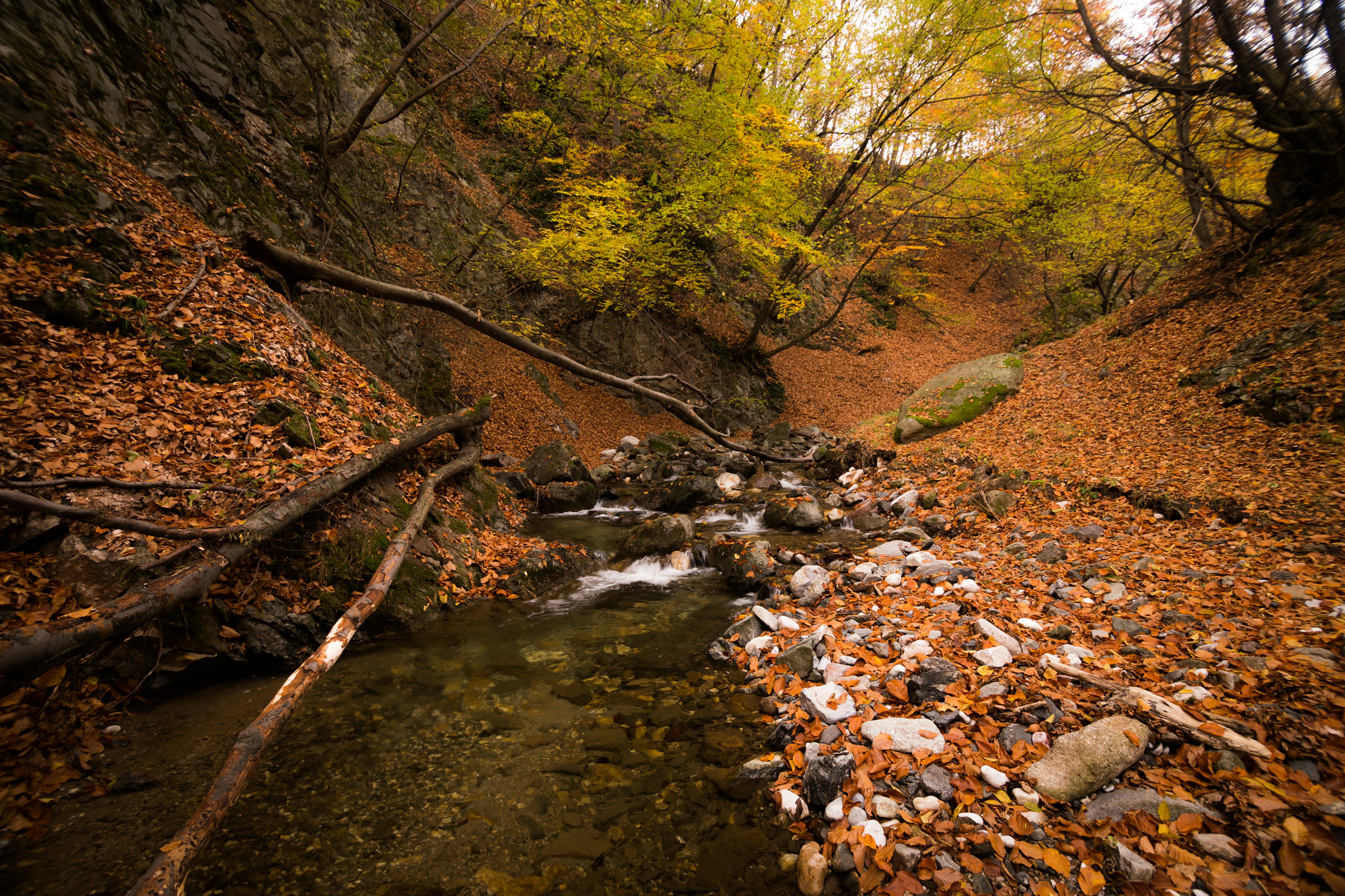 Photo by blooddrainer