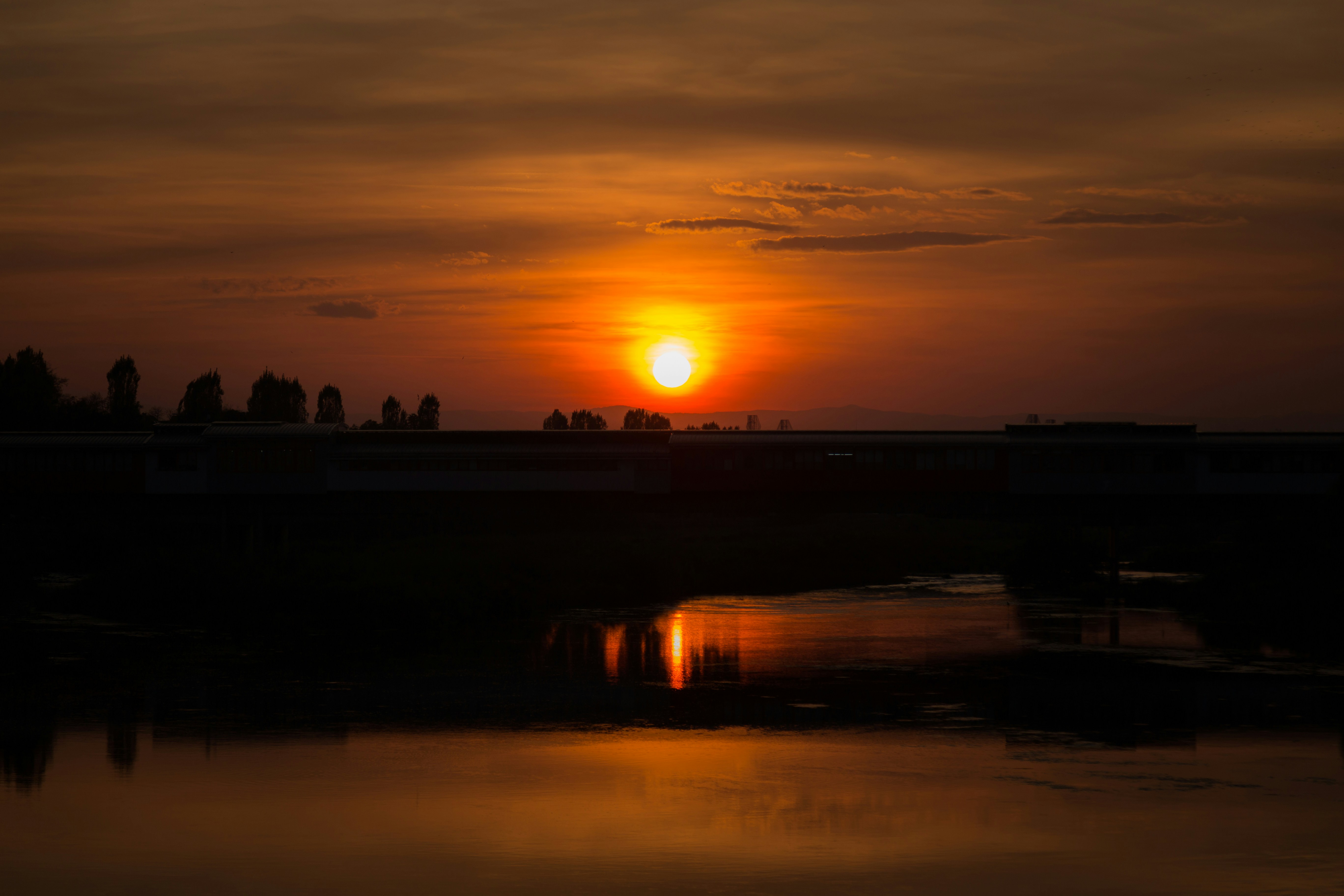 Photo by blooddrainer