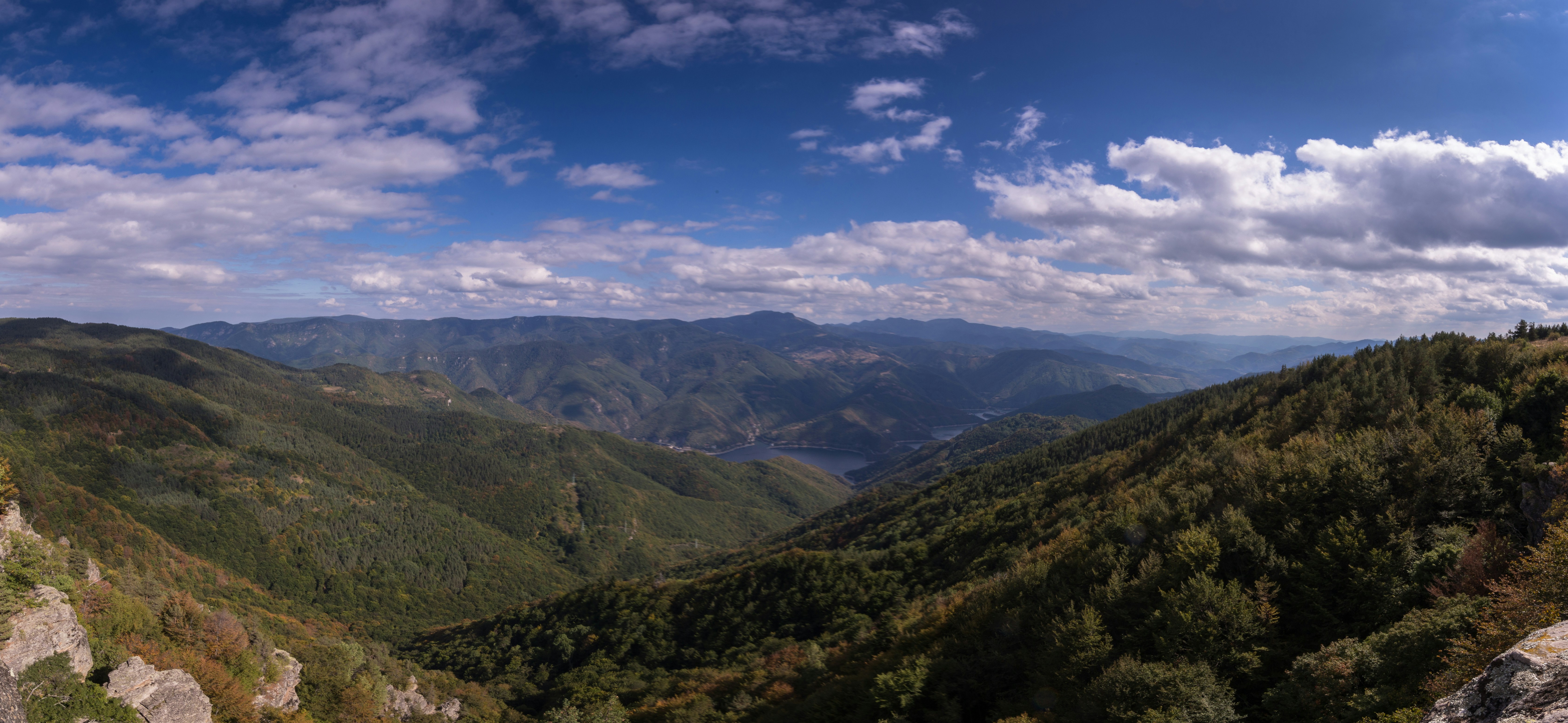 Photo by blooddrainer