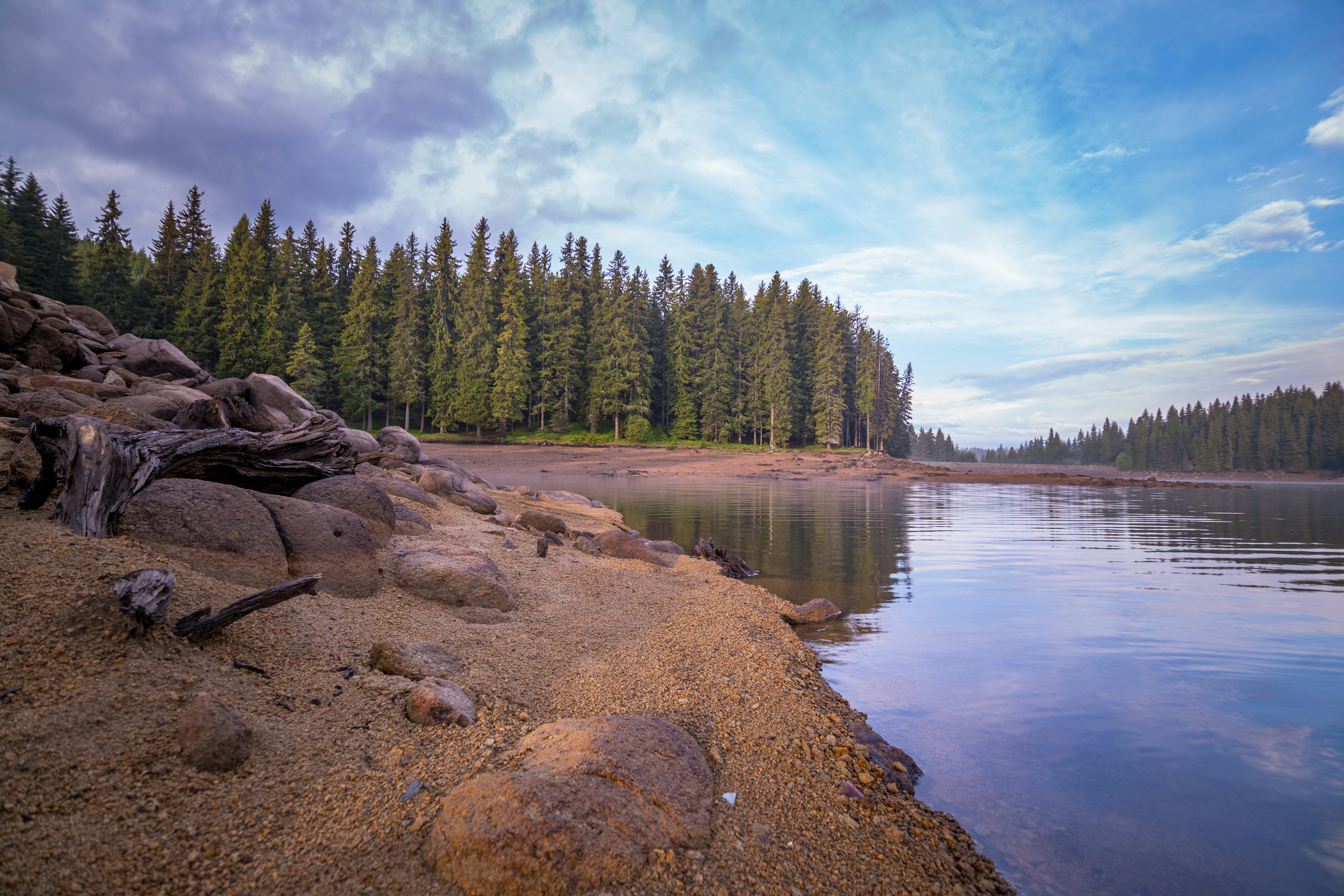 Photo by blooddrainer