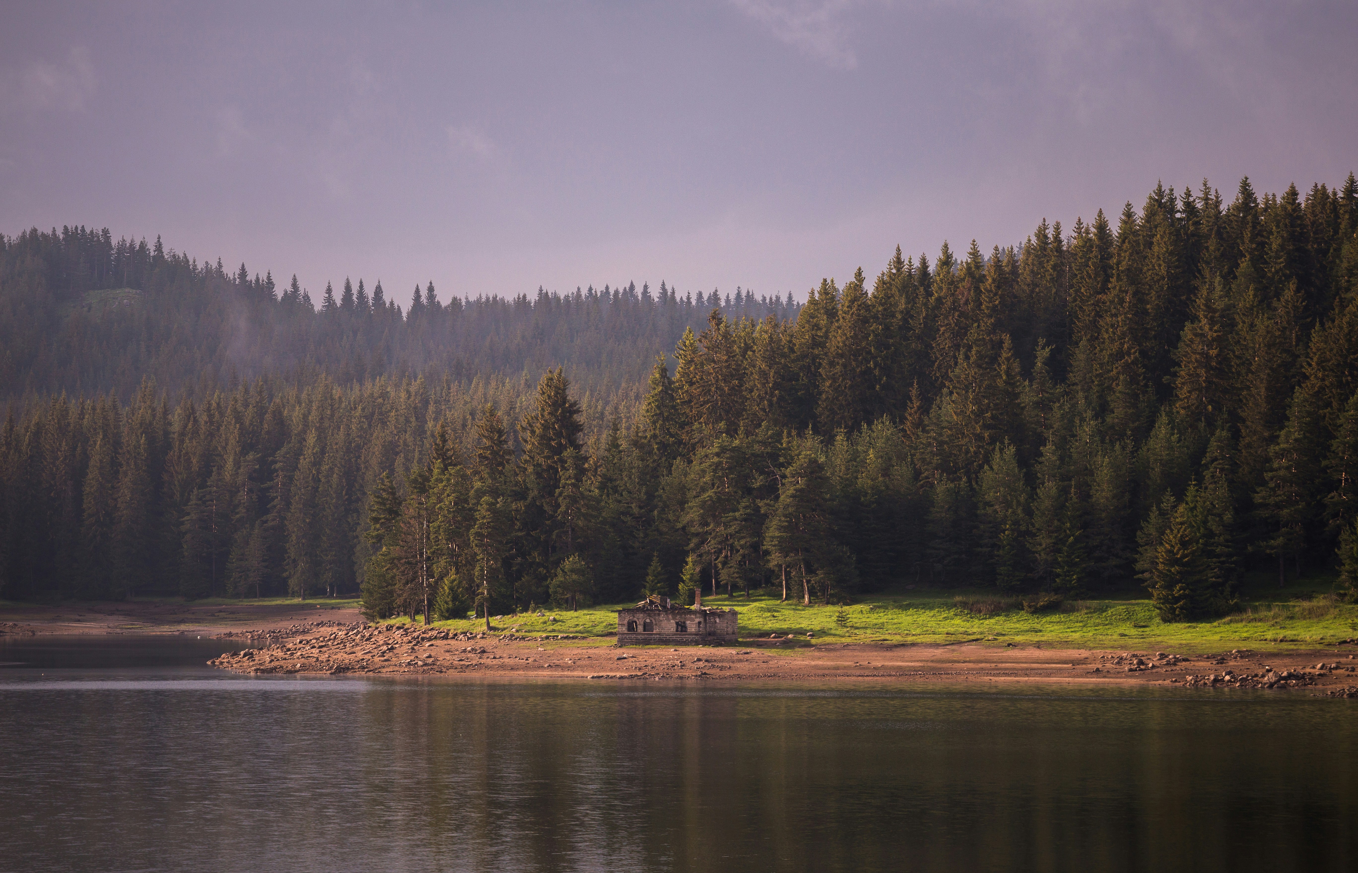 How Plants Beat Supercomputers at Energy Transfer: Quantum Photosynthesis