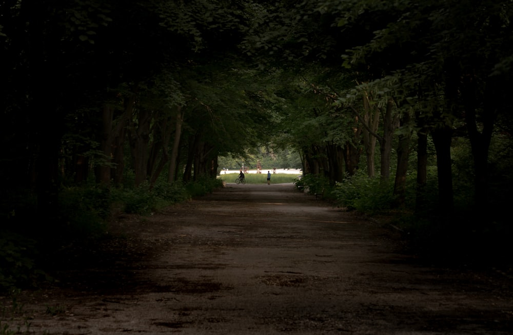 a person standing in the middle of a road surrounded by trees