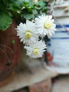Photo 1633066304674 9a5e6bfc54d6?q=85&w=275&h=400&fit=crop