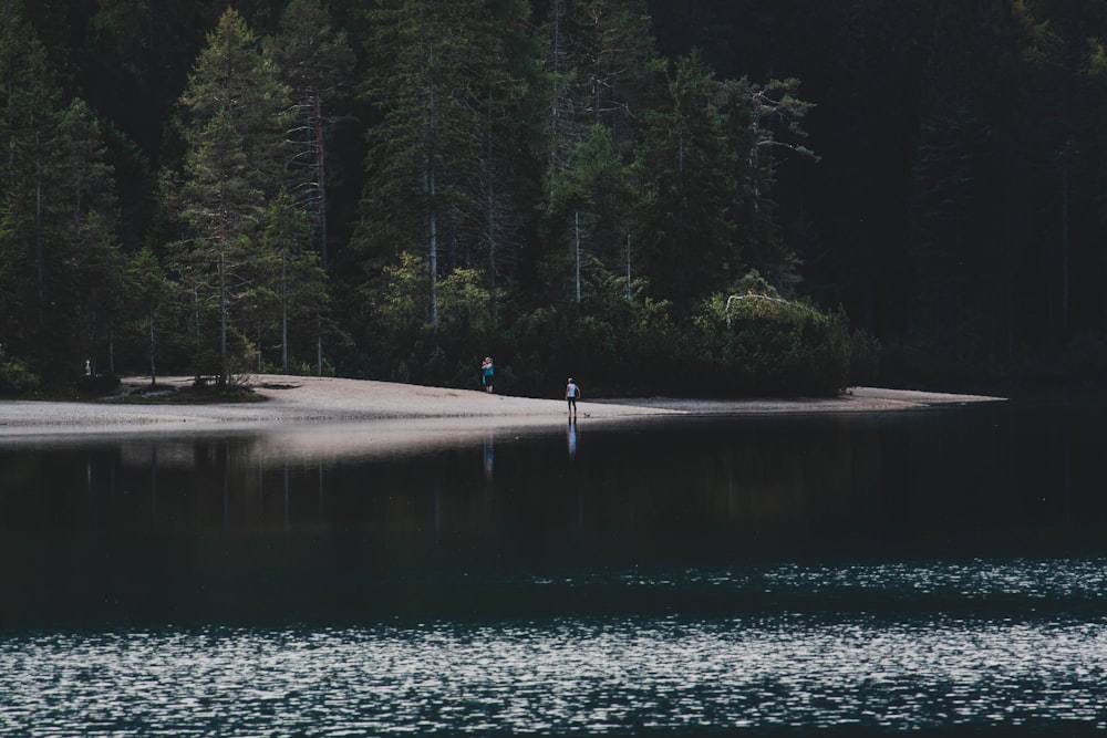 a body of water with trees in the background