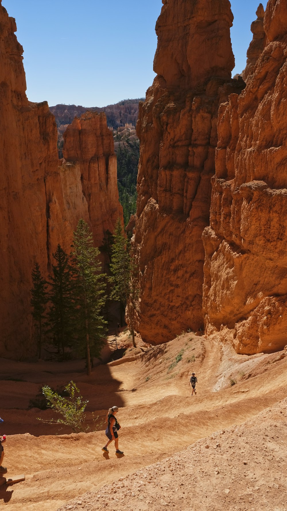 a group of people hiking through a canyon