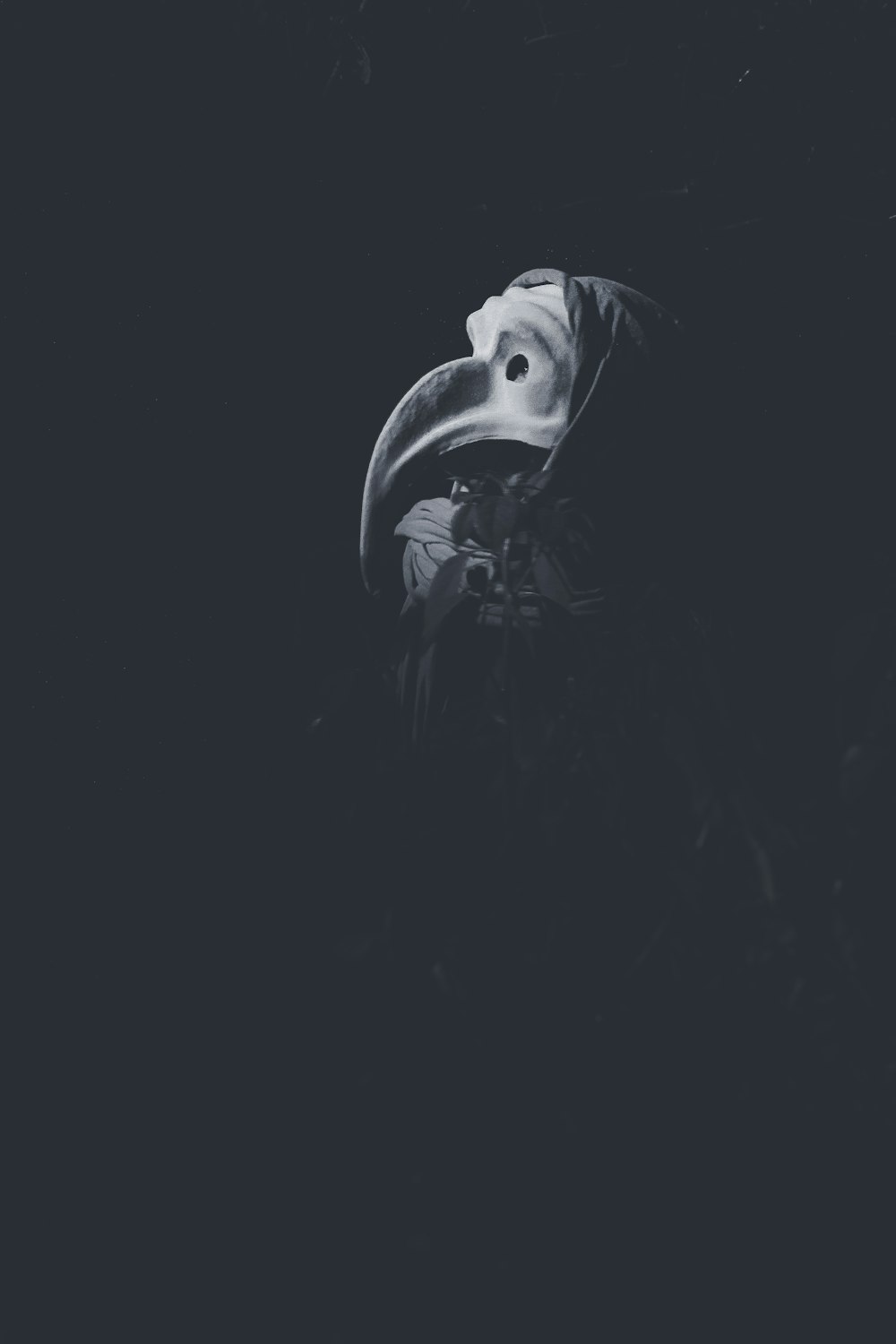 a black and white photo of a bird in the dark