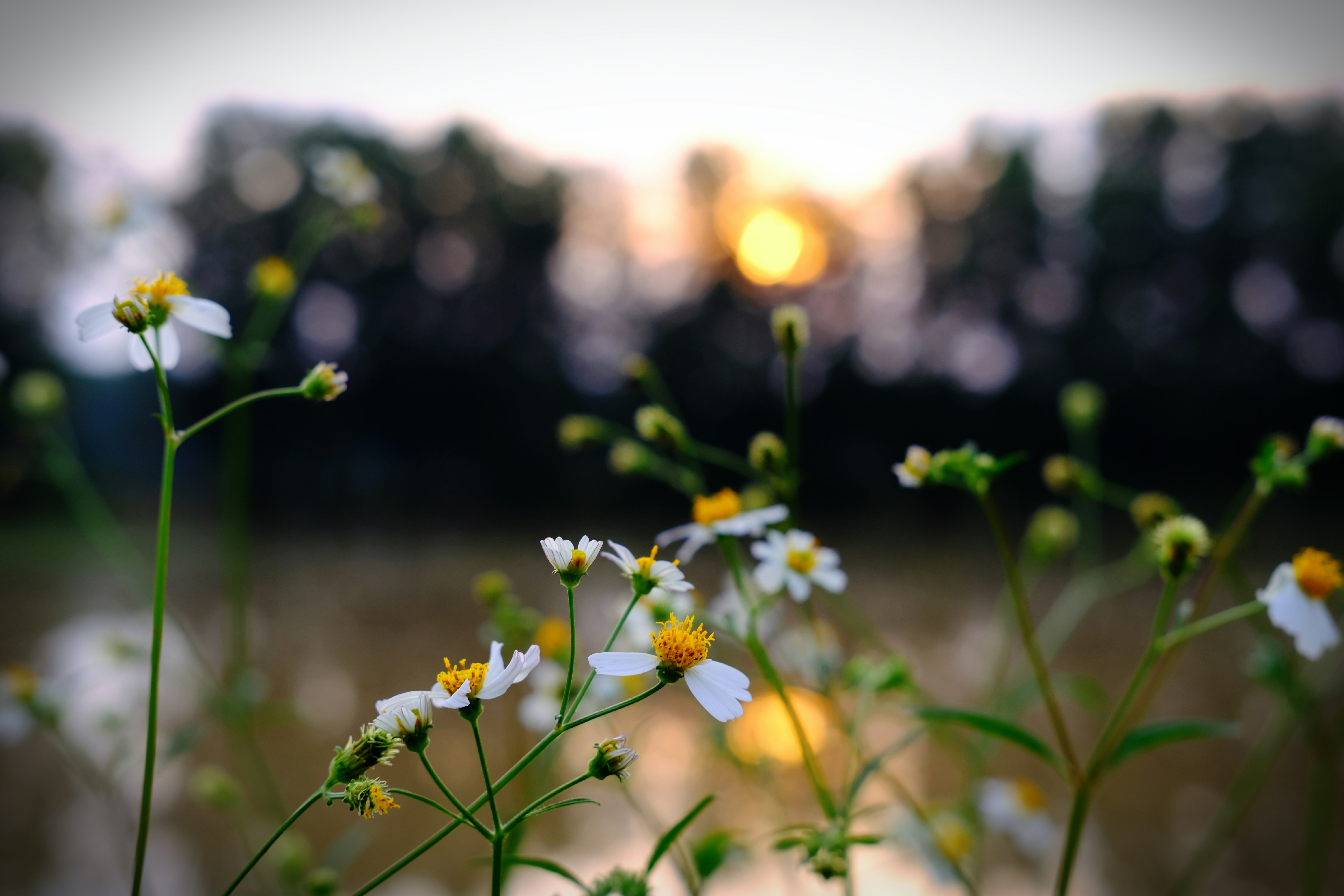 Photo by lenguyenkhoi