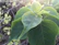 A close-up of a vibrant green leaf with sunlight filtering through, symbolizing growth and renewal.